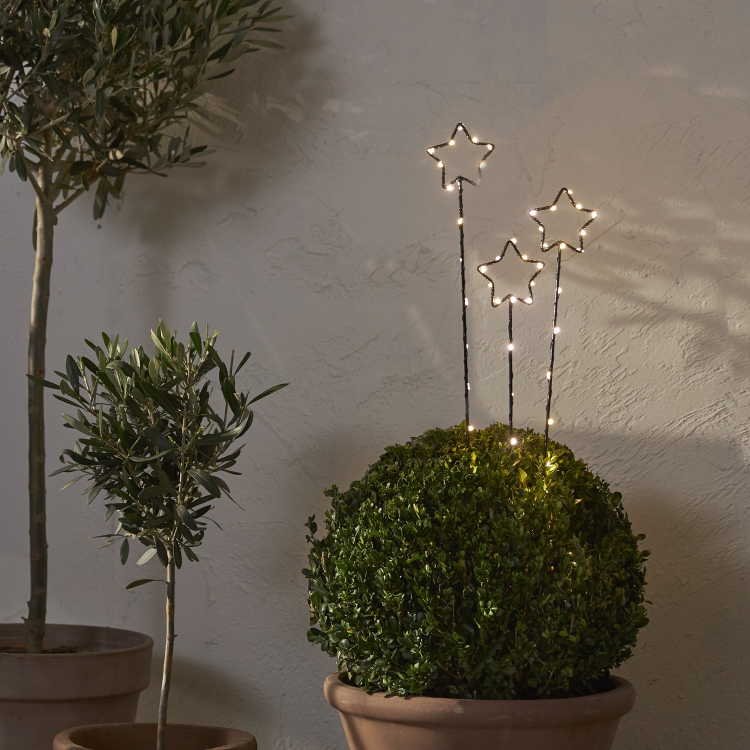 Utomhusdekoration Star Trading Wizard