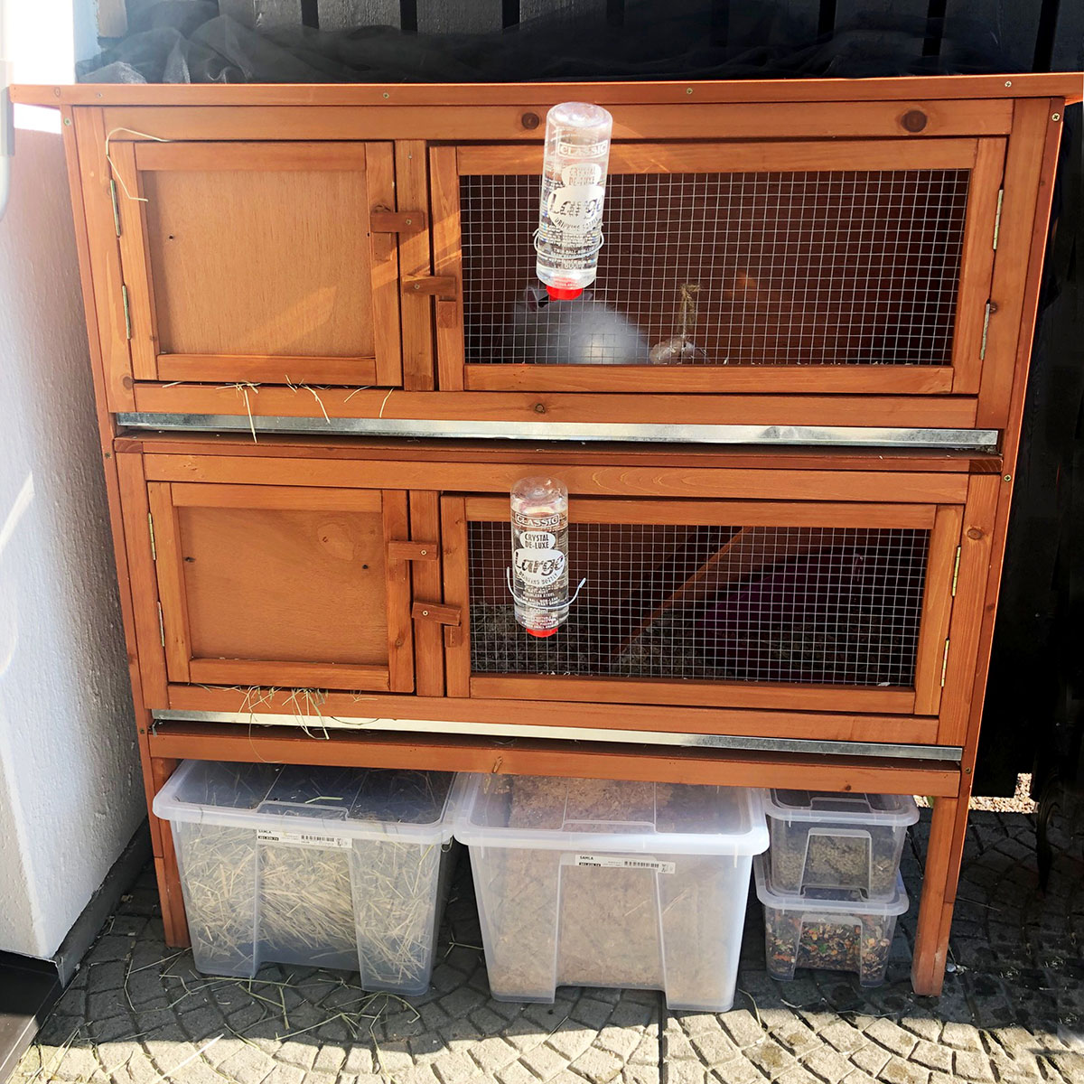 Kaninbur Lyfco P500