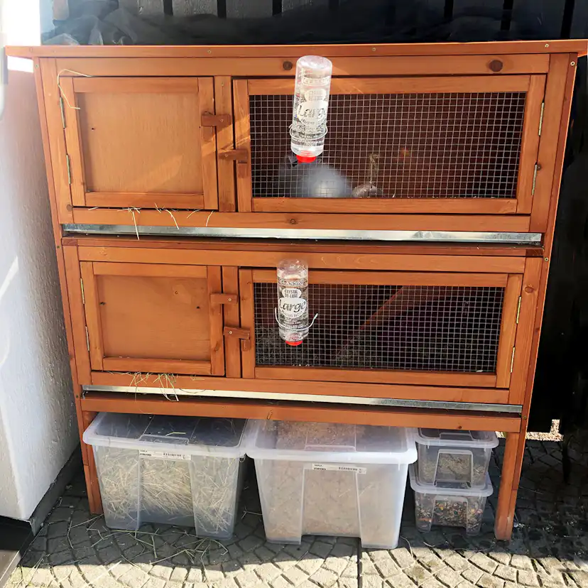 Kaninbur Lyfco P500