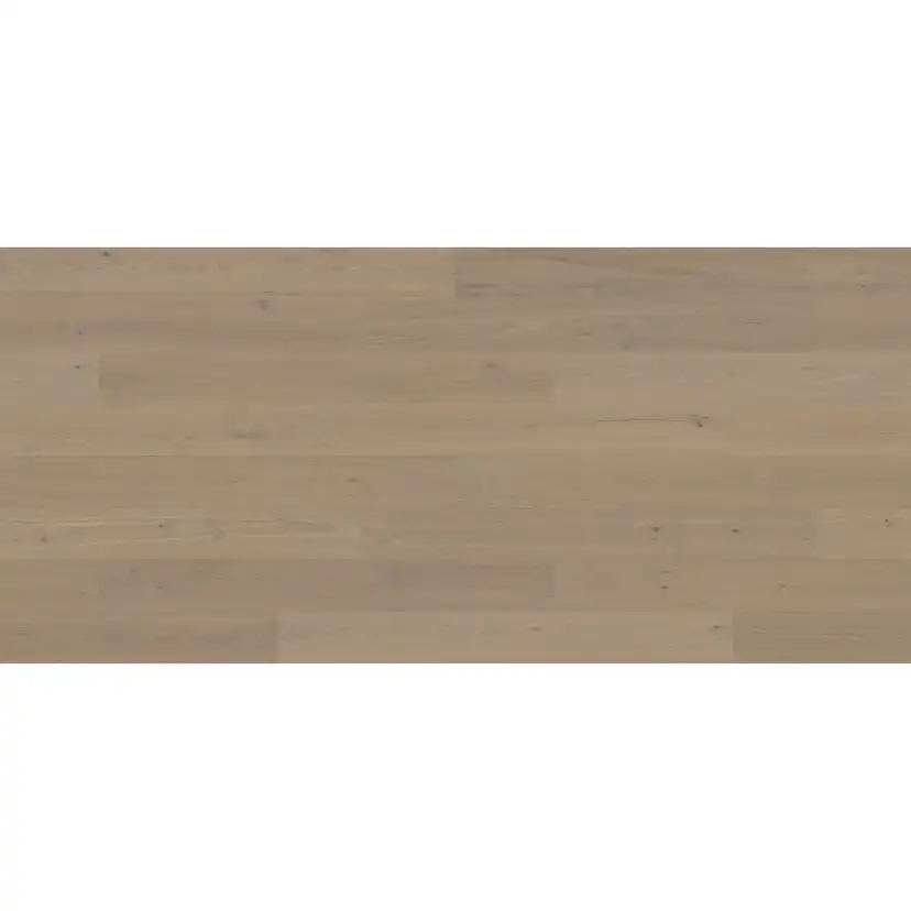 STEHAG 3.0 XXL