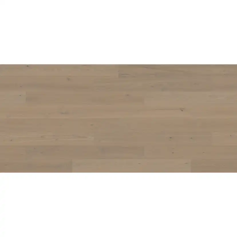 STEHAG 3.0 XXL