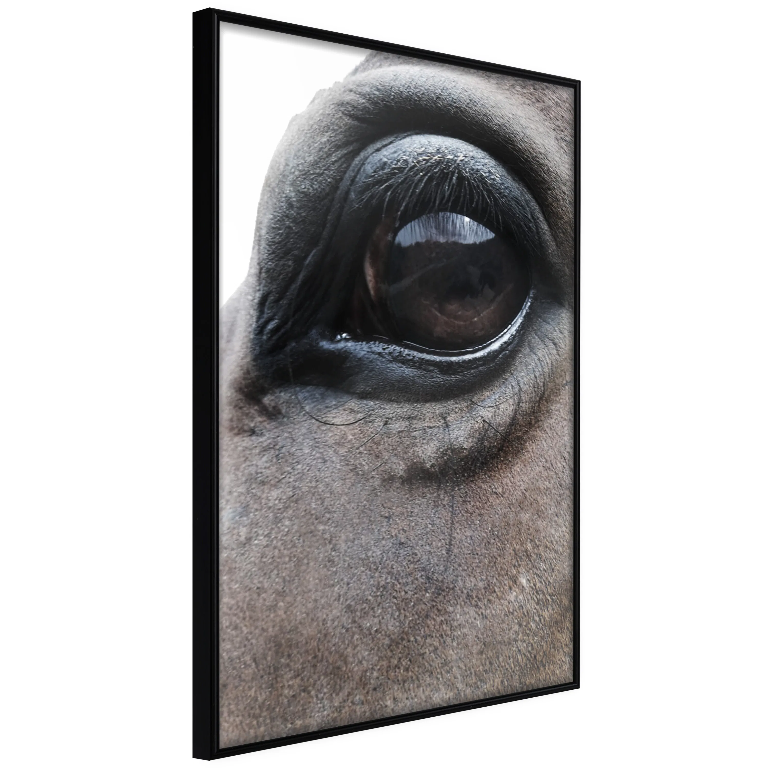 Poster Artgeist Affisch Honest Eyes