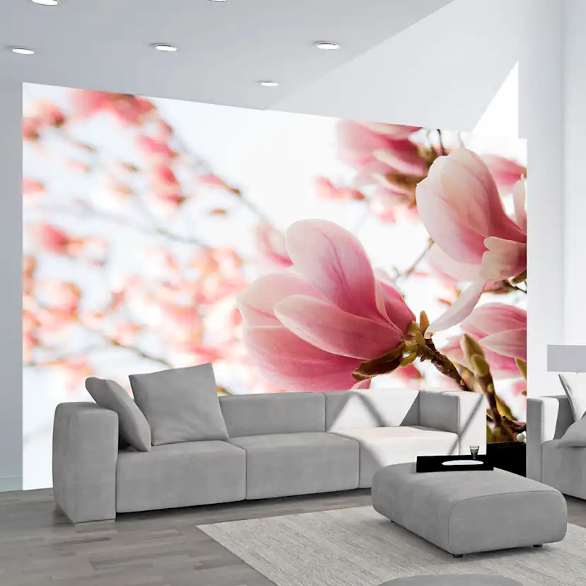 Fototapet Arkiio Rosa Magnolia