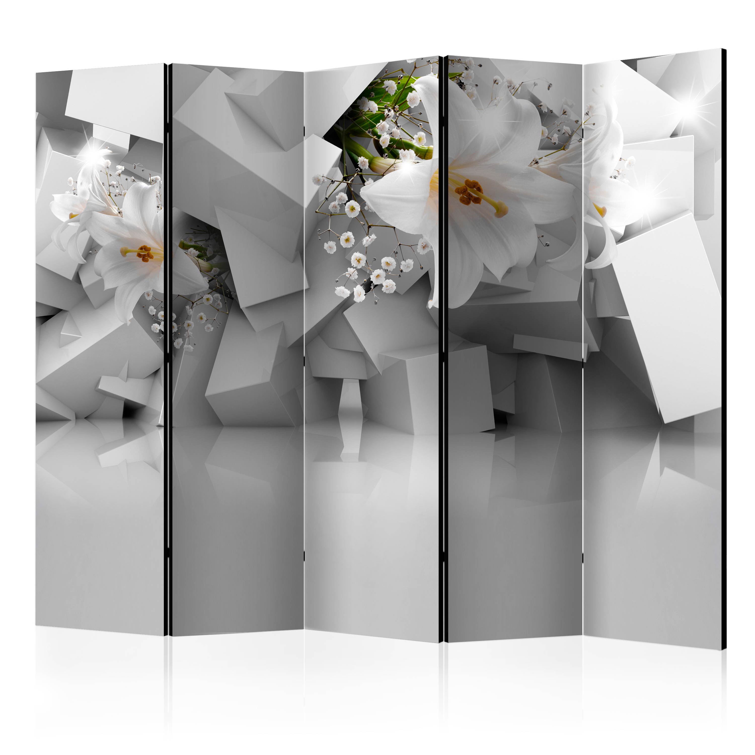 Rumsavdelare Arkiio Lost in Chaos II 225x172 cm