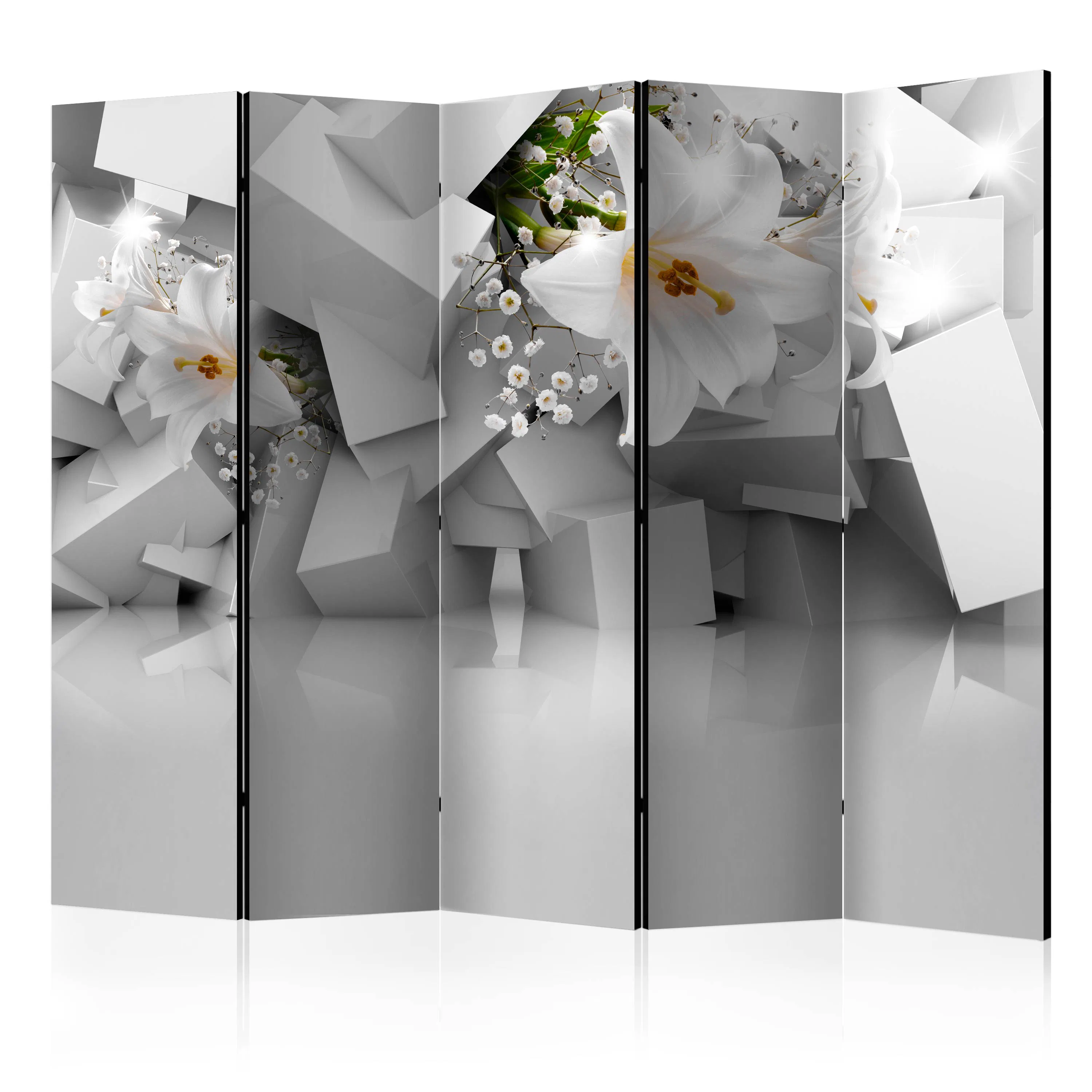 Rumsavdelare Arkiio Lost in Chaos II 225x172 cm