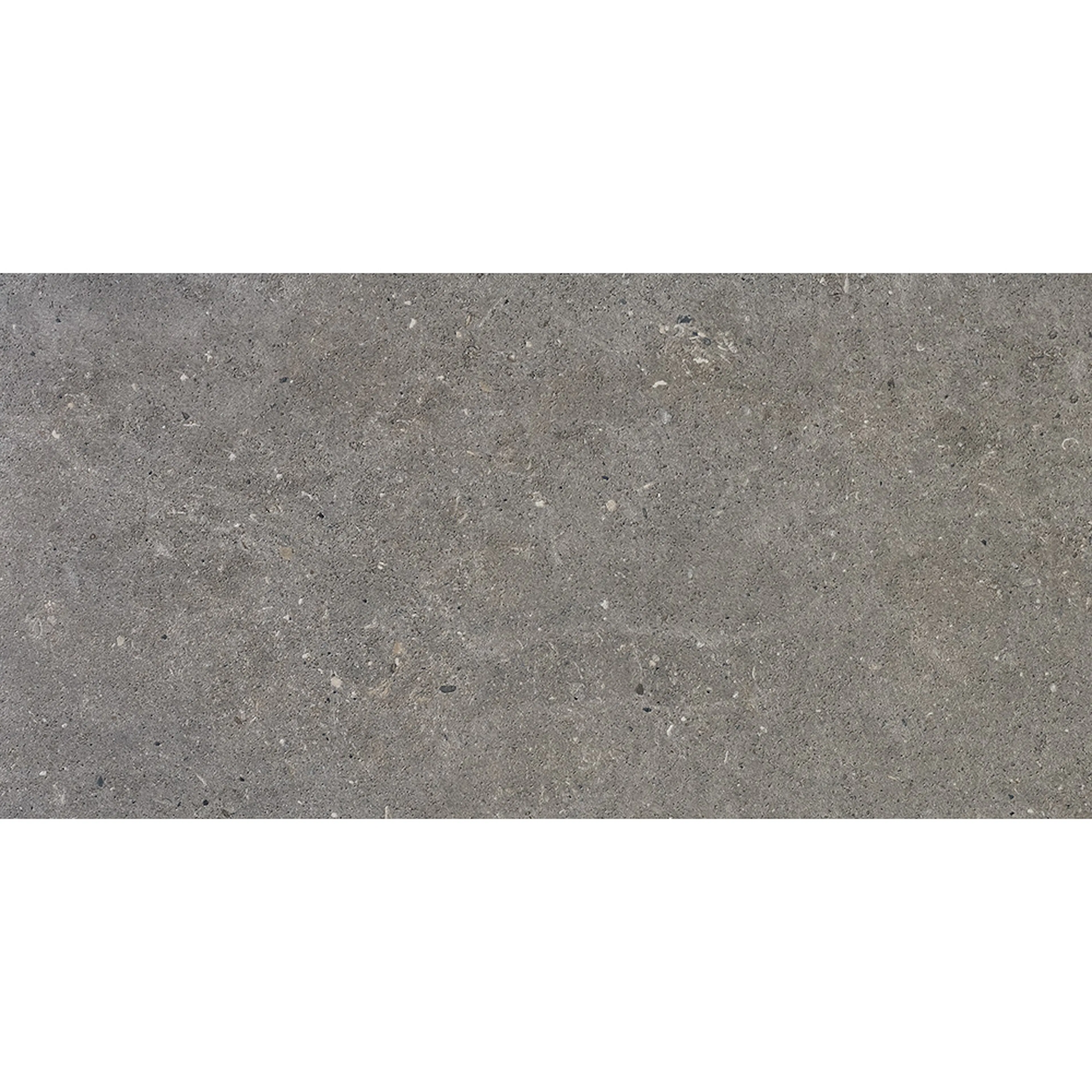 Klinker Bricmate J36 J Stone Select Grey 30x60 cm