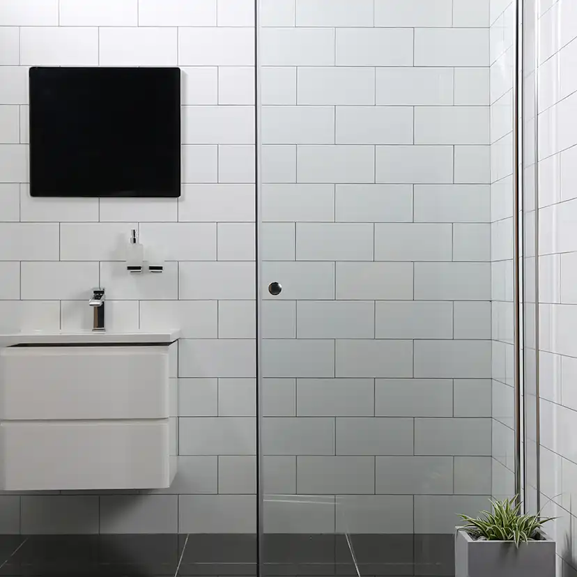 Duschdörr Bathlife Mångsidig Rak