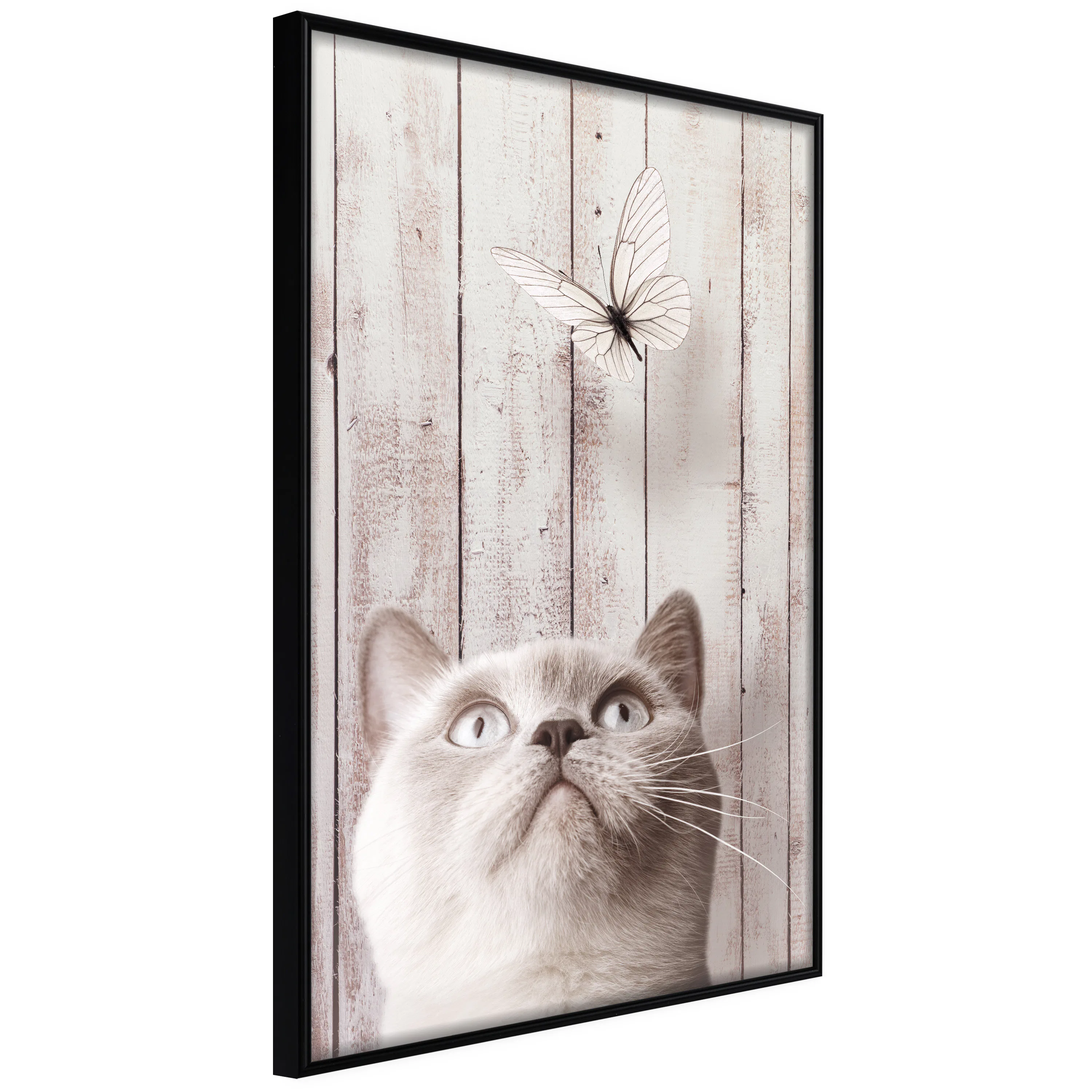 Poster Artgeist Affisch Cat's Nature