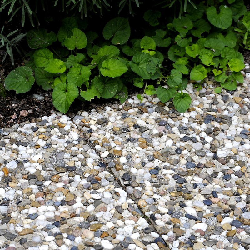 Frilagd platta S:t Eriks Dansk Sjösten Helpall