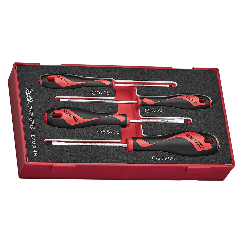 Skruvmejselsats Teng Tools 4-Delar TEAMD04N