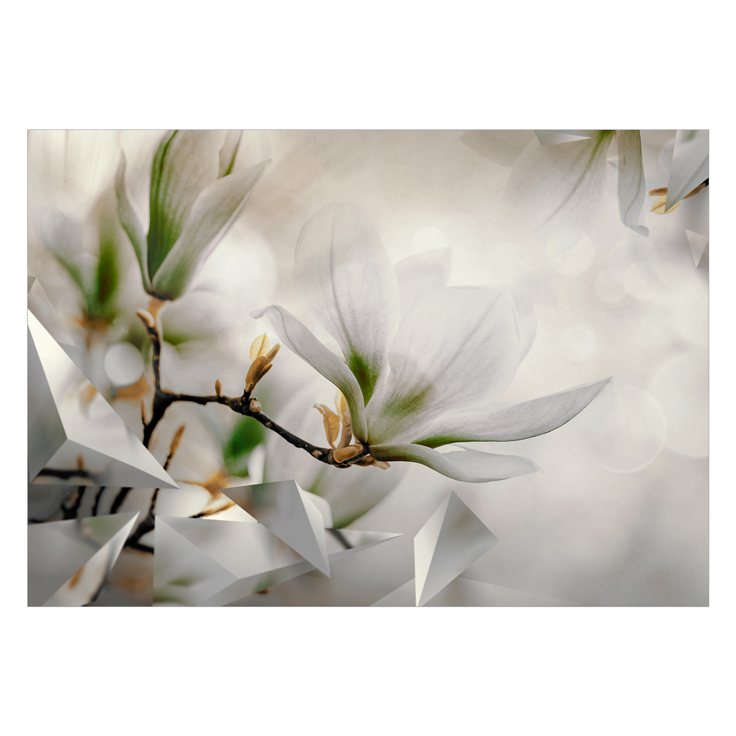 Fototapet Arkiio Subtle Magnolias Arkiio Second Variant