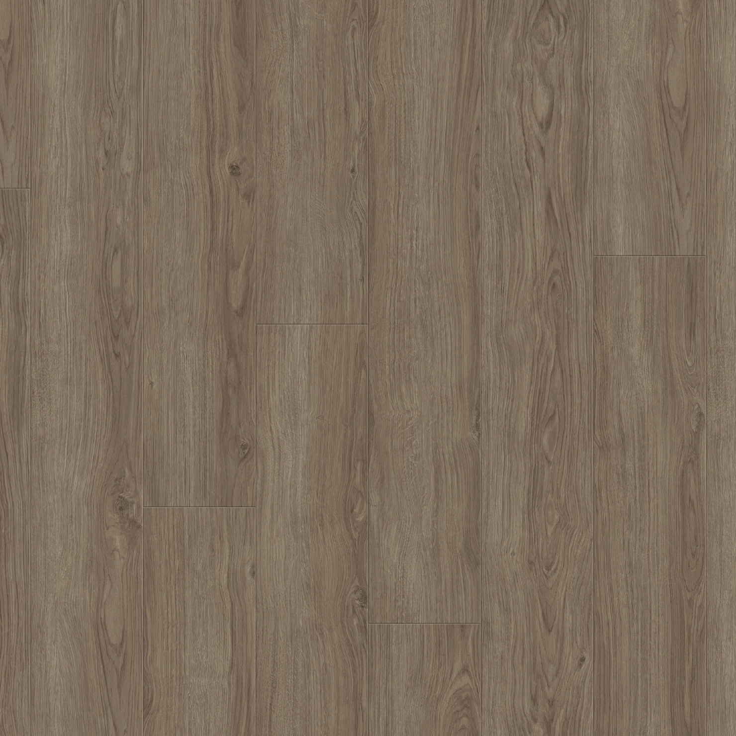 Laminatgolv Tarkett Woodstock 832 Aurora Oak Dawn