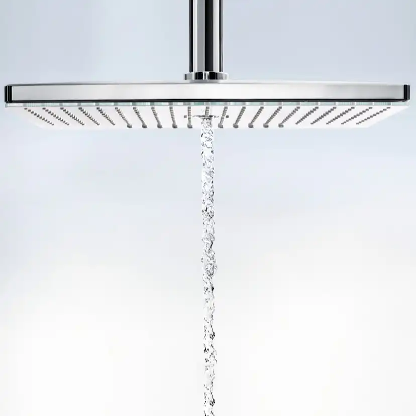HG Rainmaker Sel.460 2jet huvuddusch Utan EcoSmart