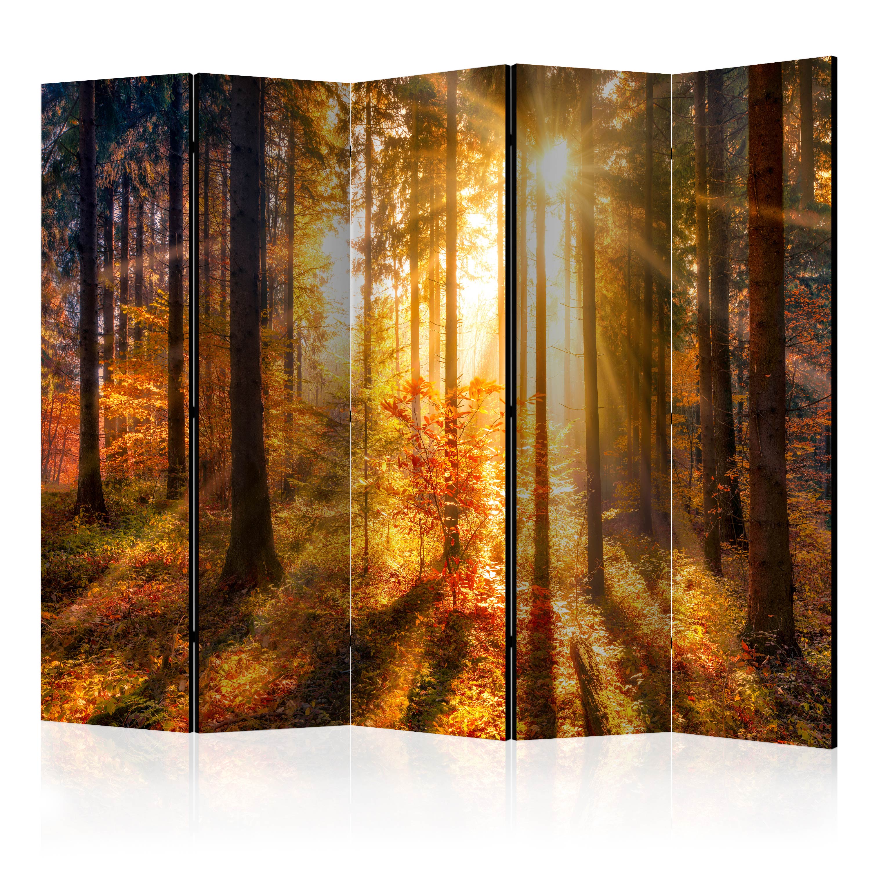 Rumsavdelare Arkiio Autumn Awakening II 225x172 cm