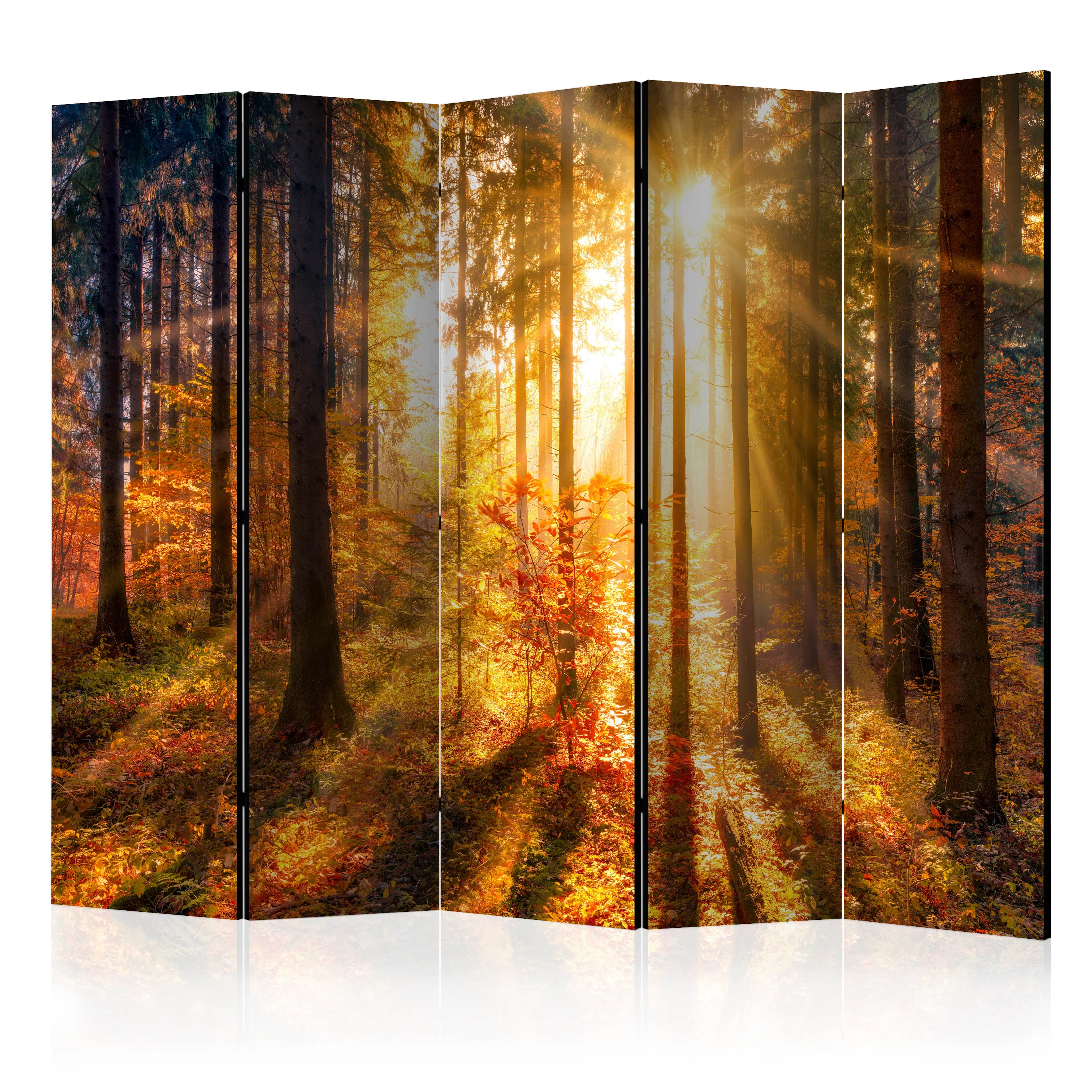 Rumsavdelare Arkiio Autumn Awakening II 225x172 cm