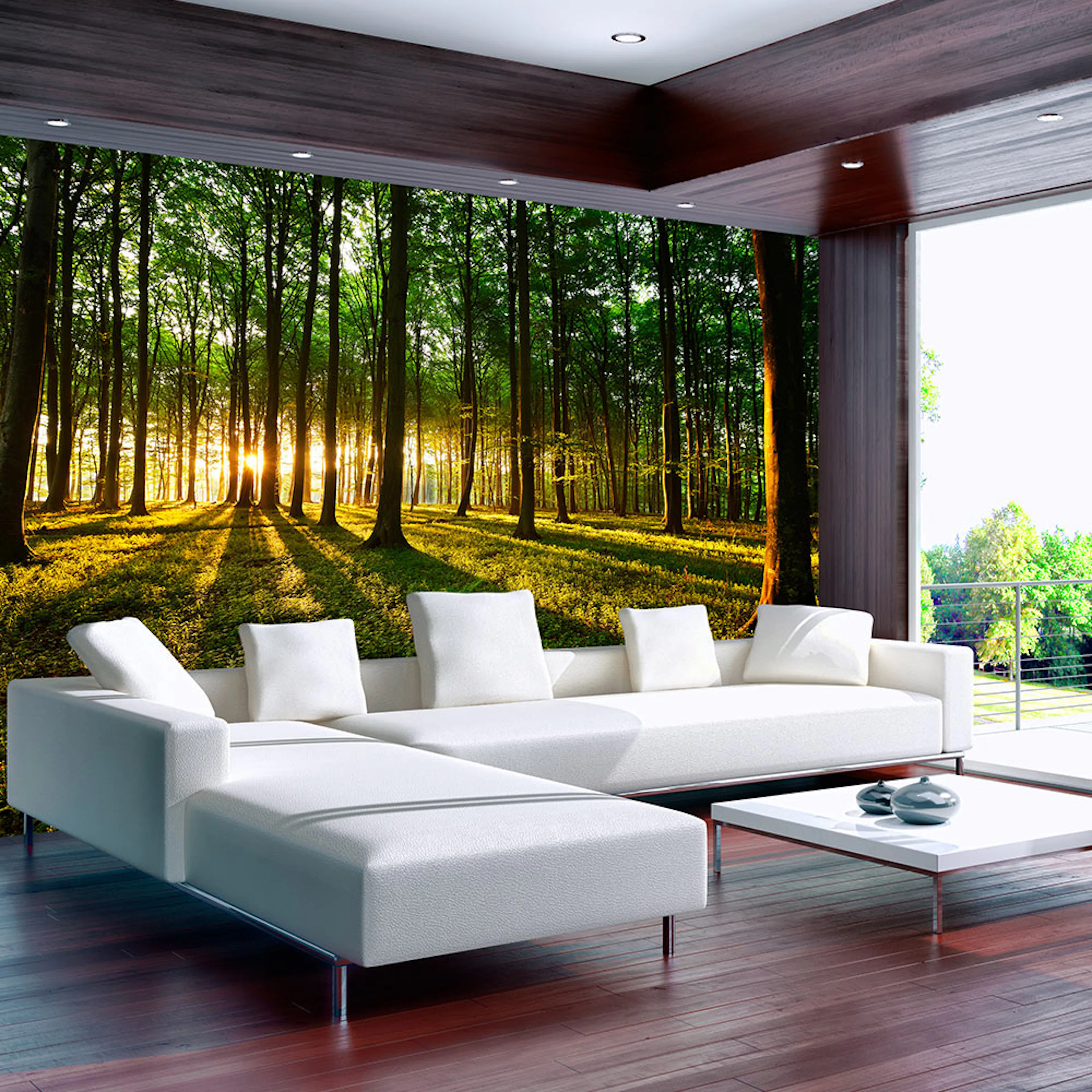 Fototapet Arkiio Spring: Morning In The Forest