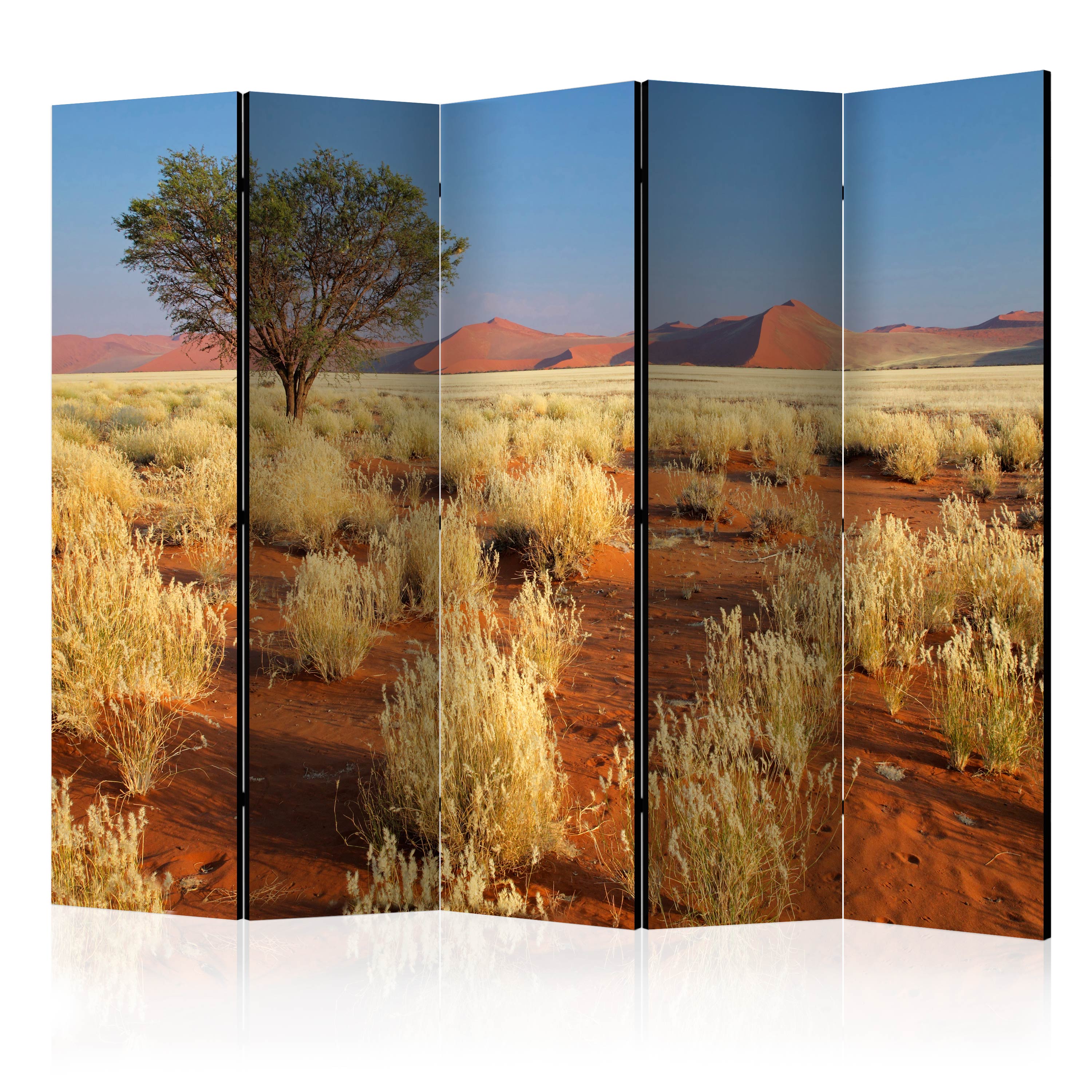 Rumsavdelare Arkiio Desert Landscape Namibia II 225x172 cm