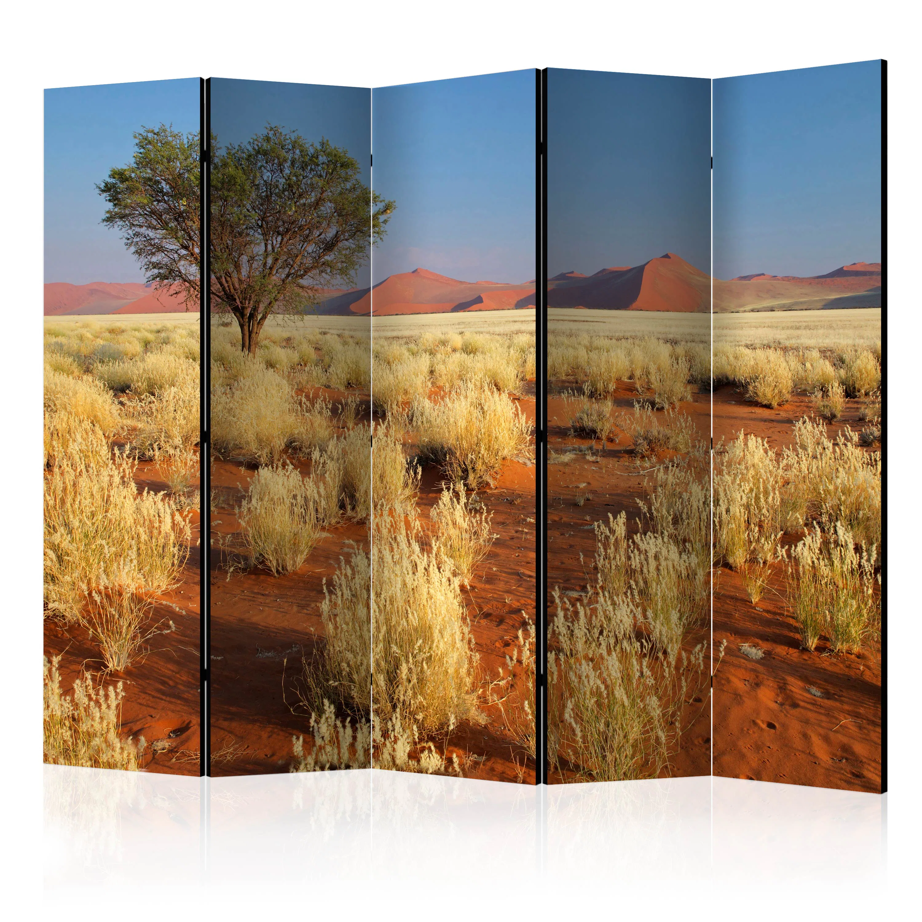 Rumsavdelare Arkiio Desert Landscape Namibia II 225x172 cm
