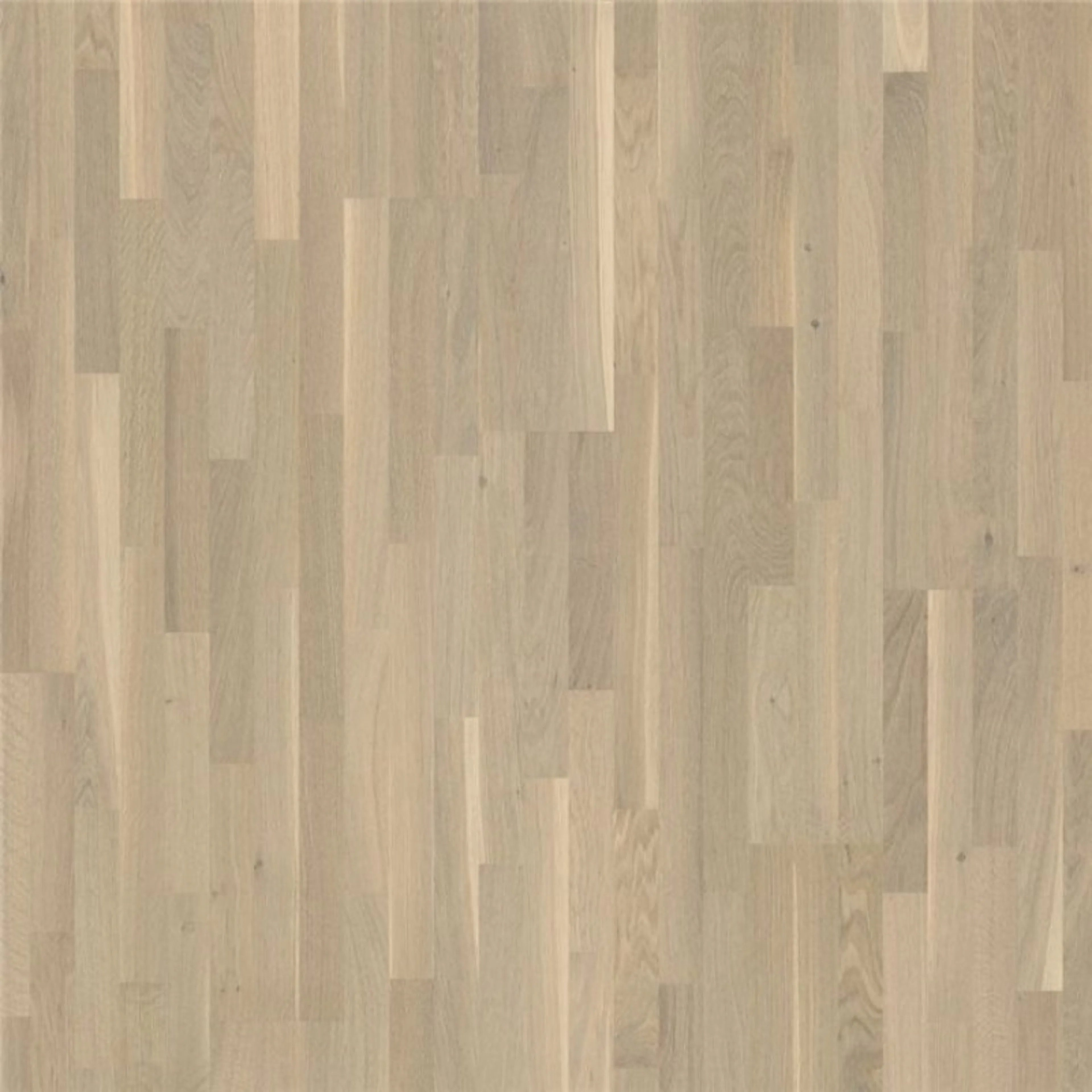 Trägolv Pergo Senja Northern Light Oak Mattlackat 3-Stavs Parkettgolv