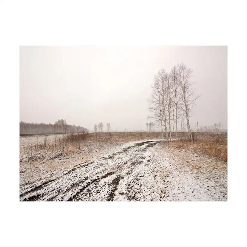 Fototapet Arkiio Winter Field