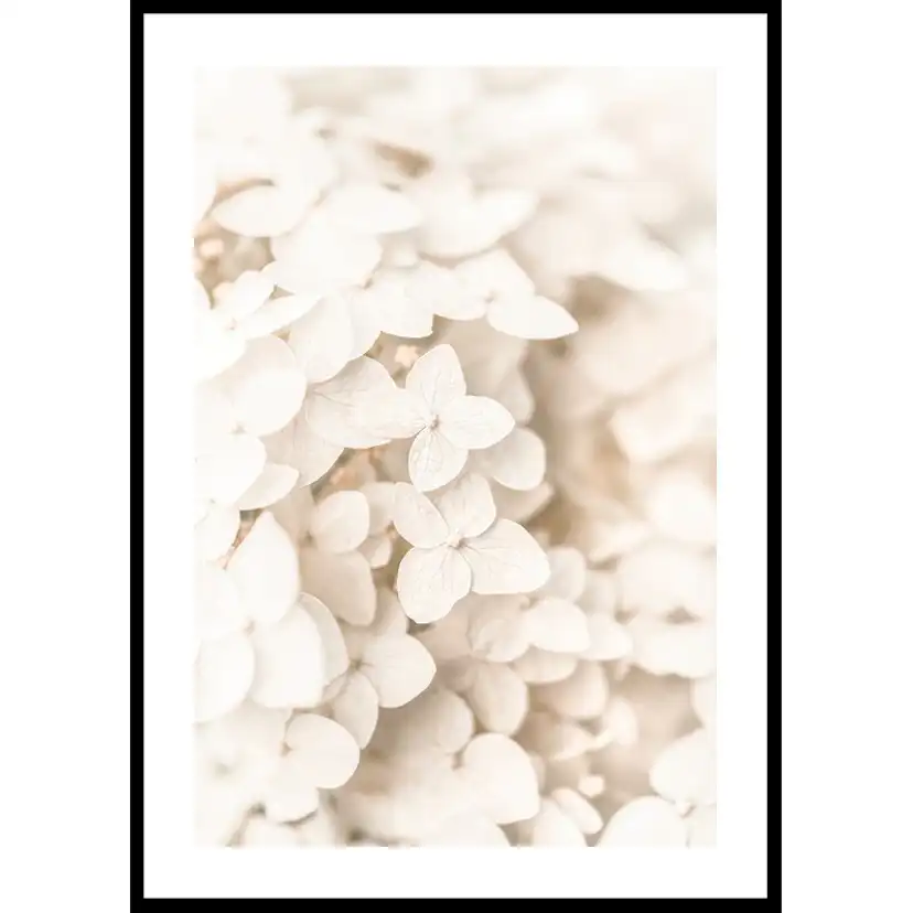 Poster Gallerix Boho Flowers No3
