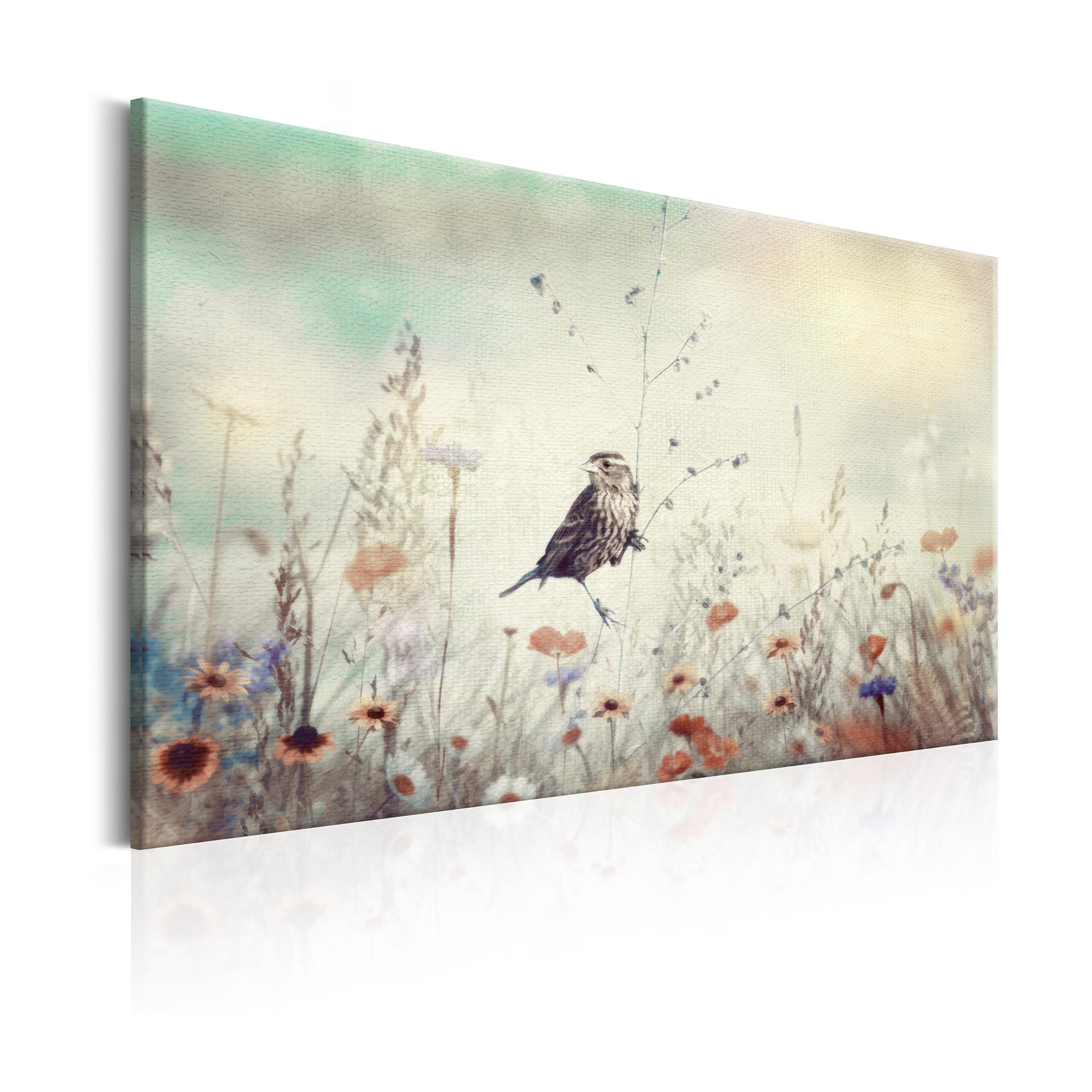 Tavla Arkiio  Wild Meadow