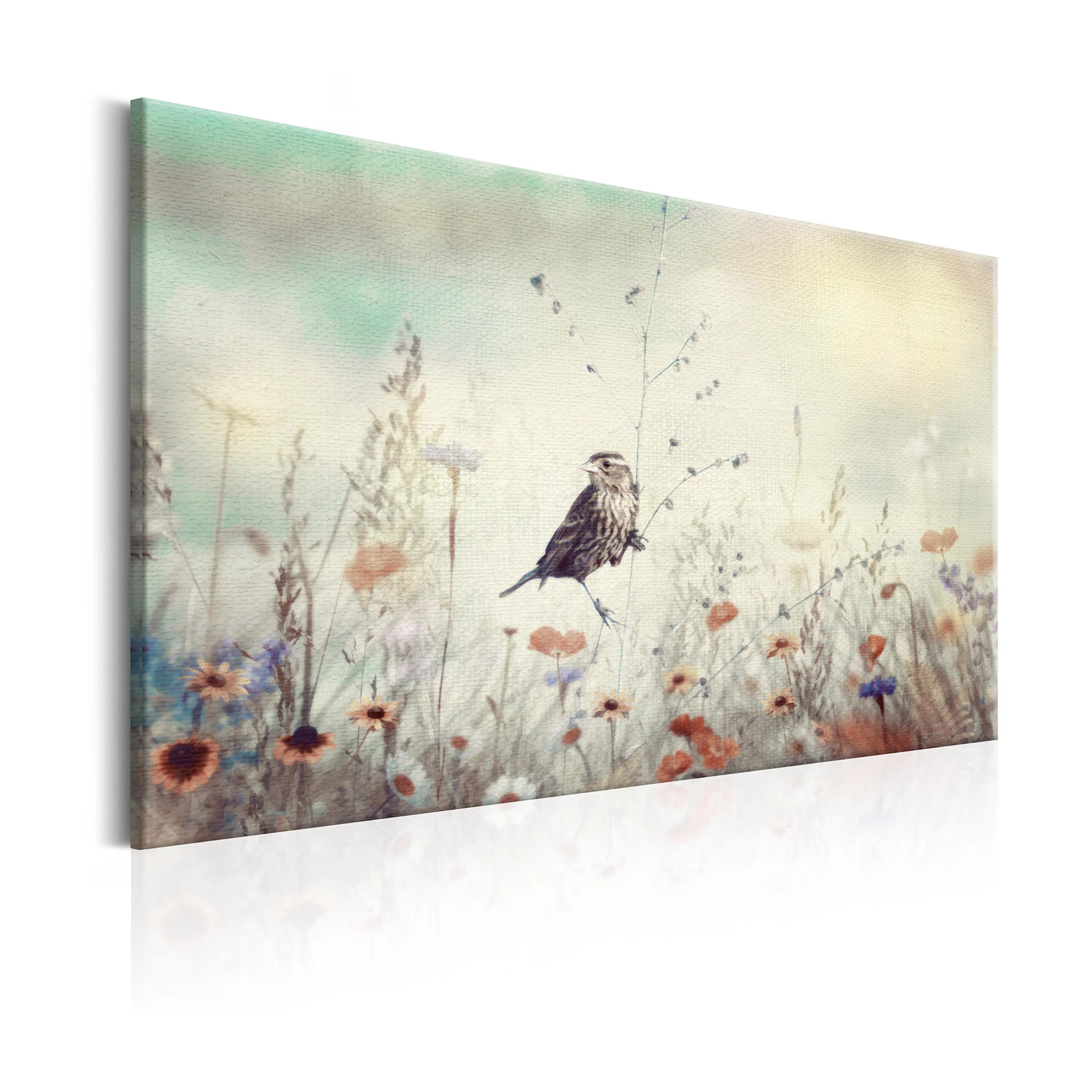 Tavla Arkiio  Wild Meadow