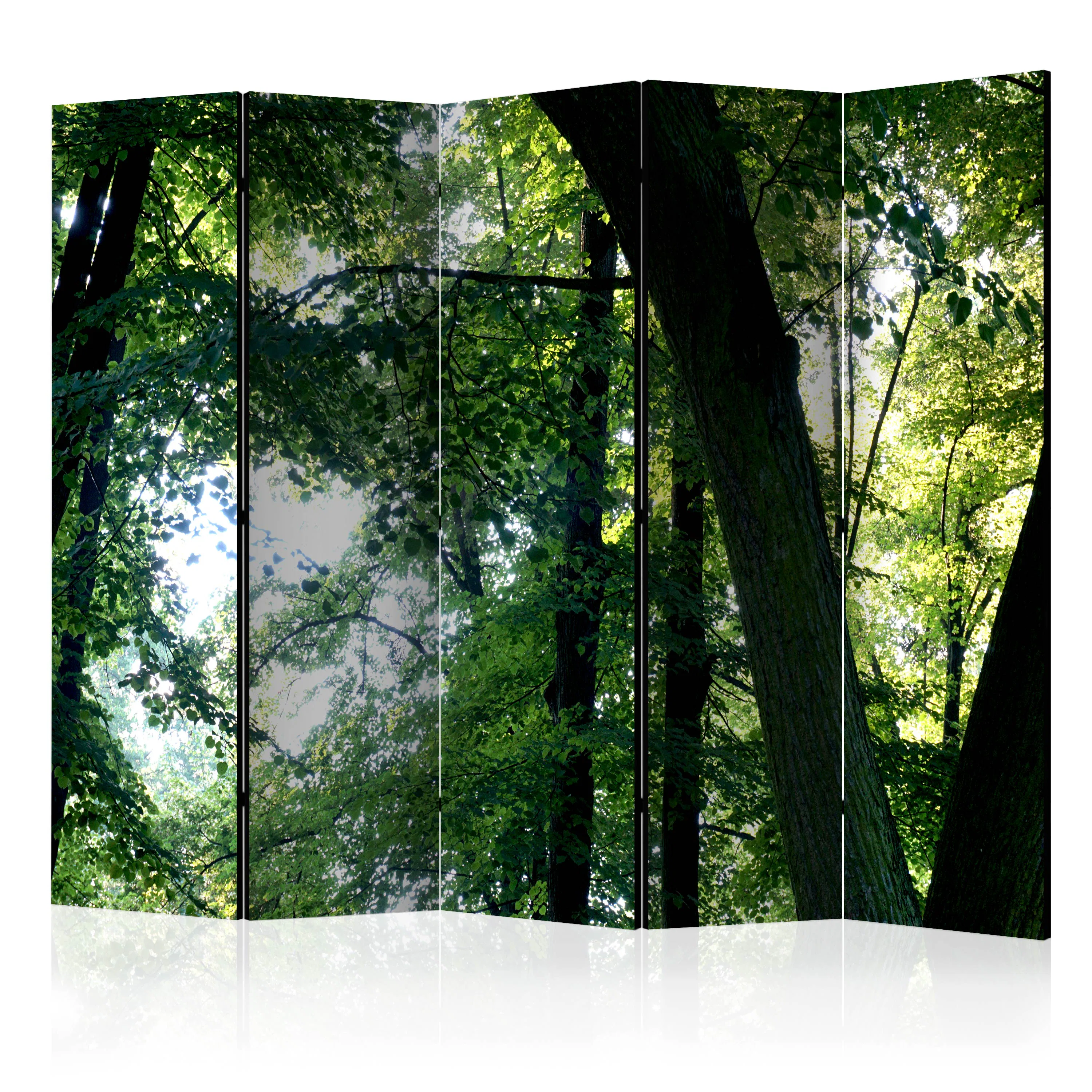 Rumsavdelare Arkiio Spring in the Park II 225x172 cm