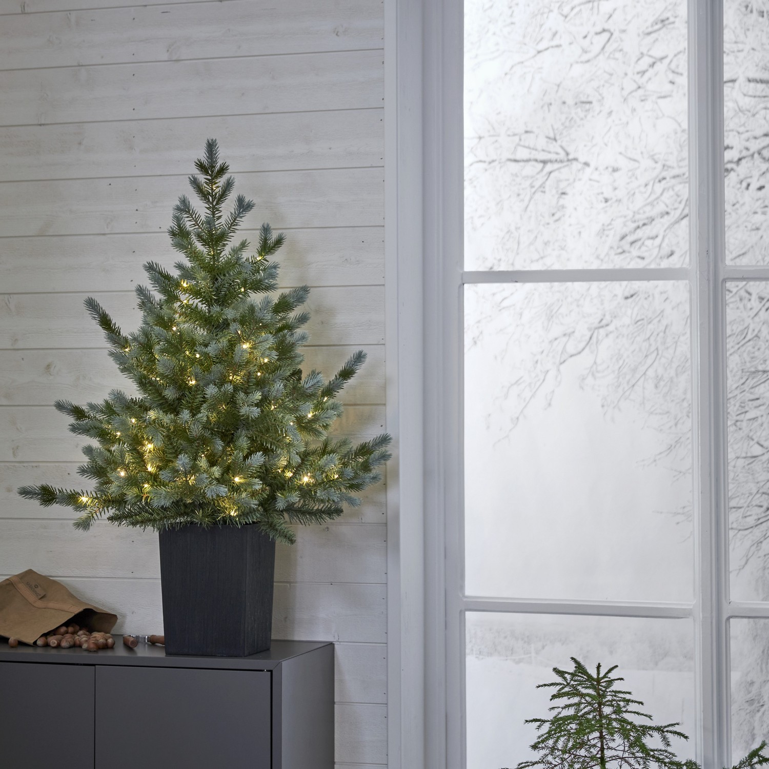 Bordsdekoration Star Trading GranGreyland95 cm 80Lb