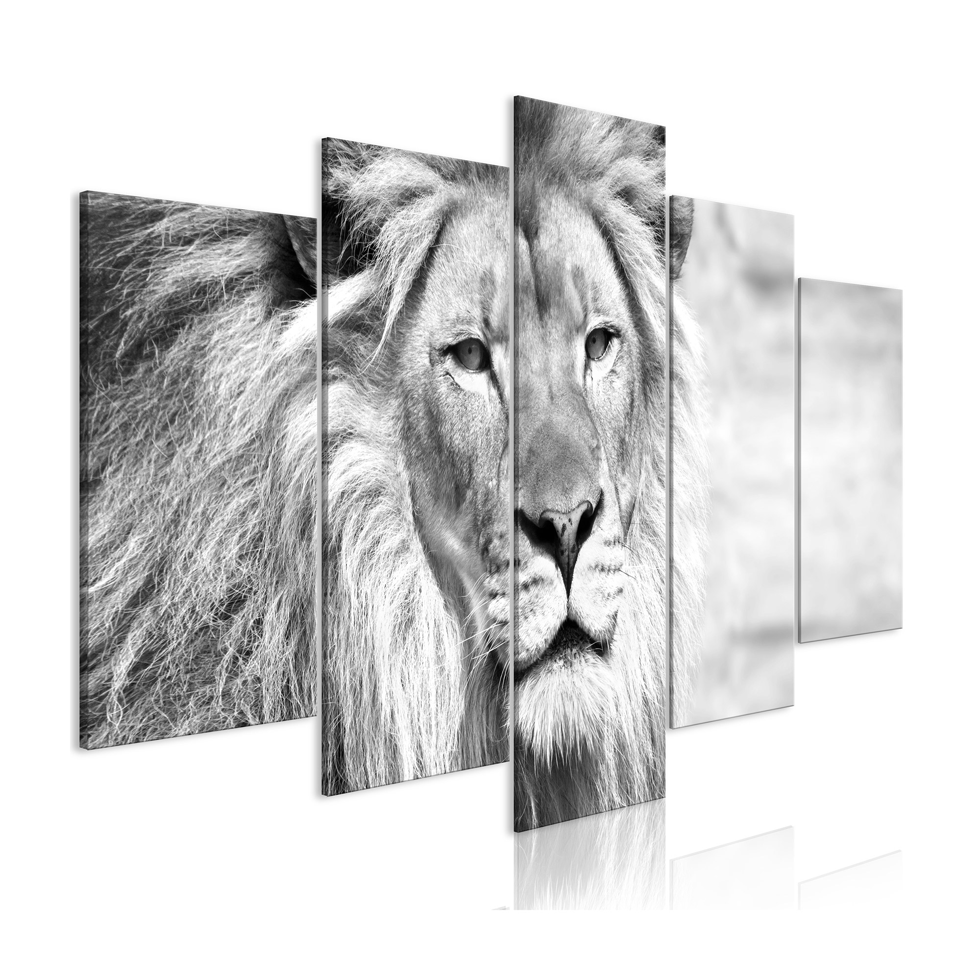 Tavla Arkiio The King Of Beasts Black and White 5 delar