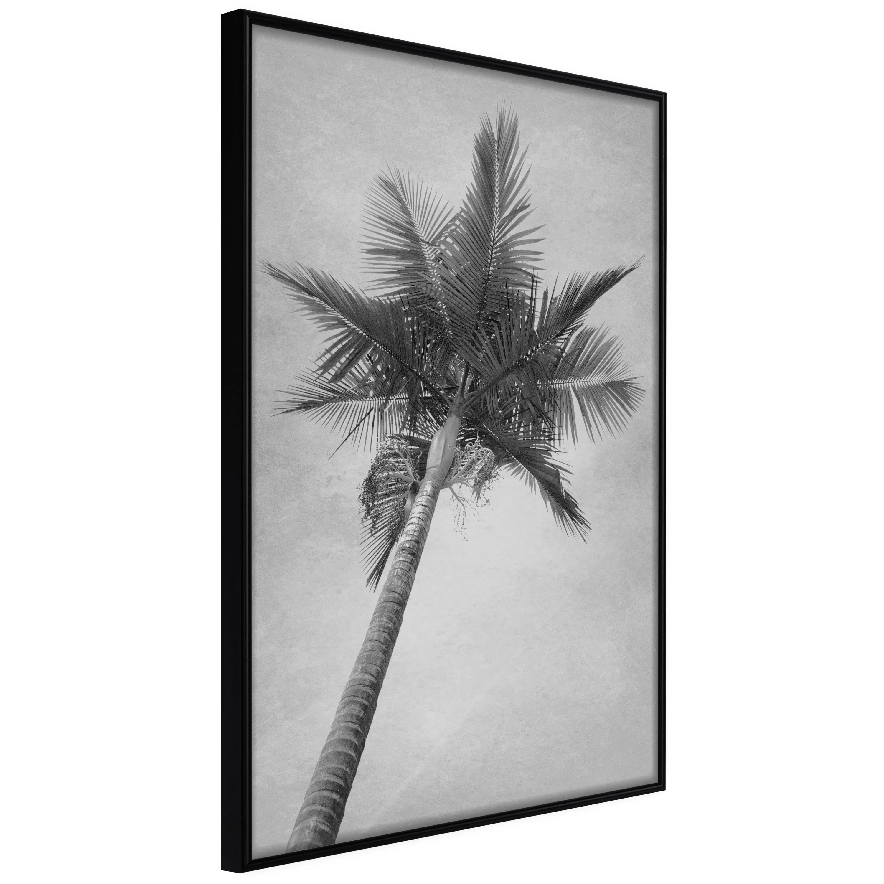 Poster Artgeist Affisch High Palm Tree
