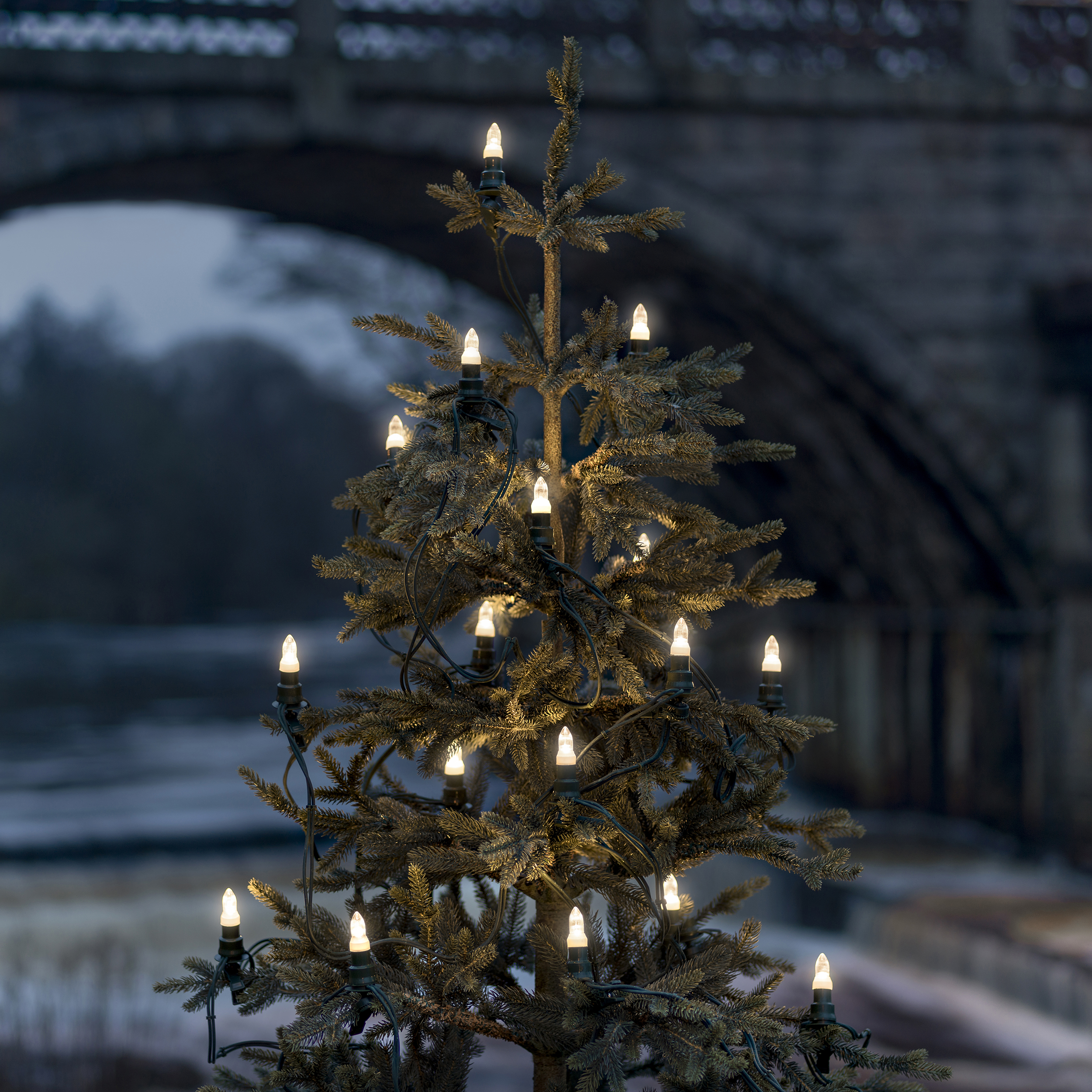 Julgransbelysning Gnosjö Konstsmide 16L LED IP44