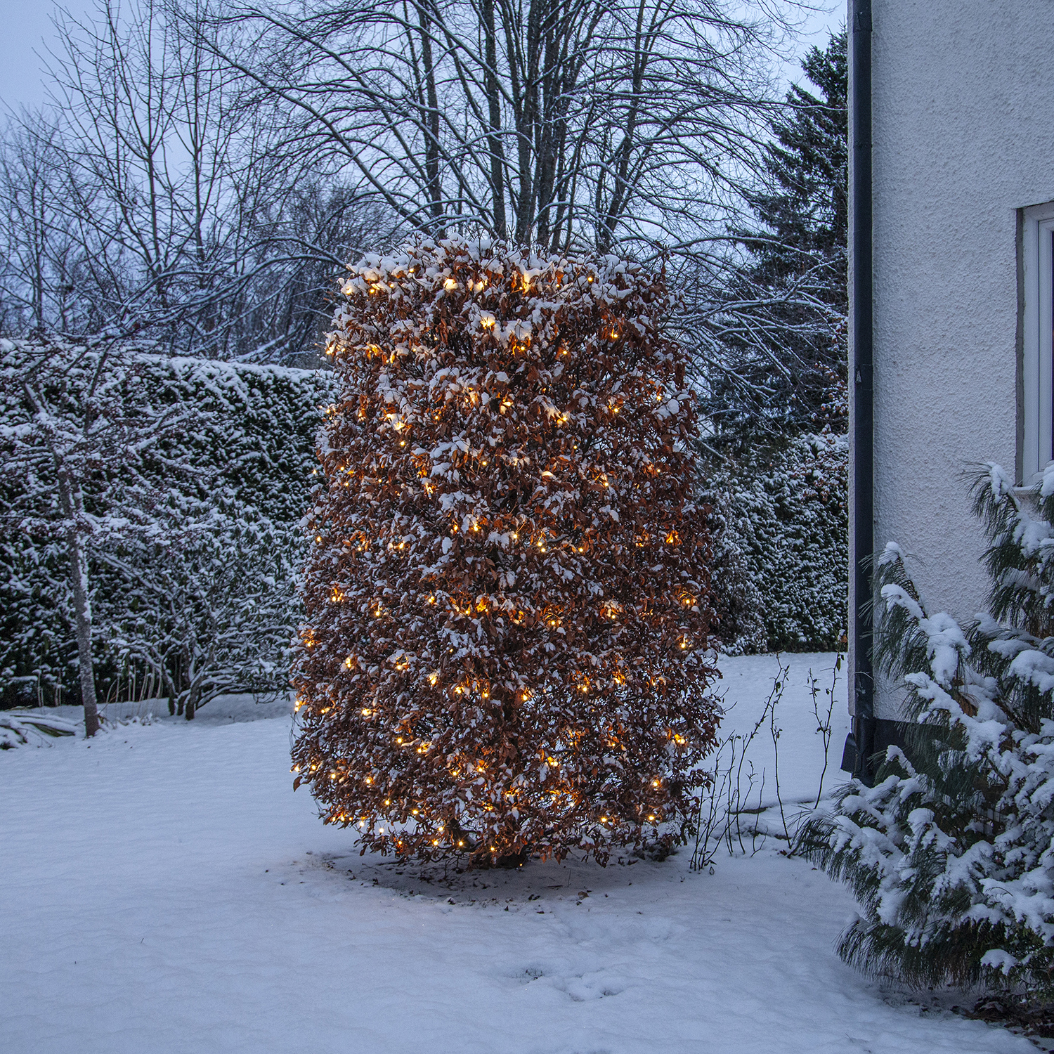 Ljusnät Star Trading Shiny Warm White