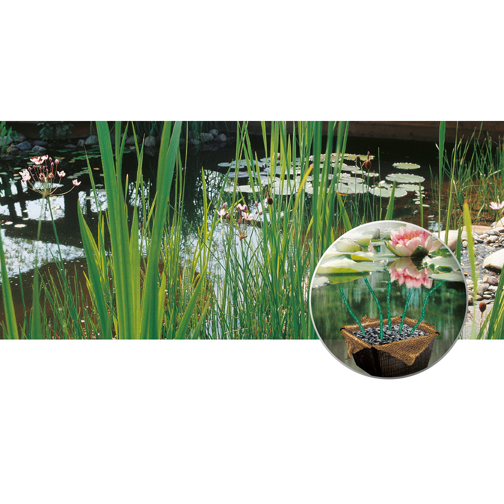 Växtkorg Heissner Bågformad