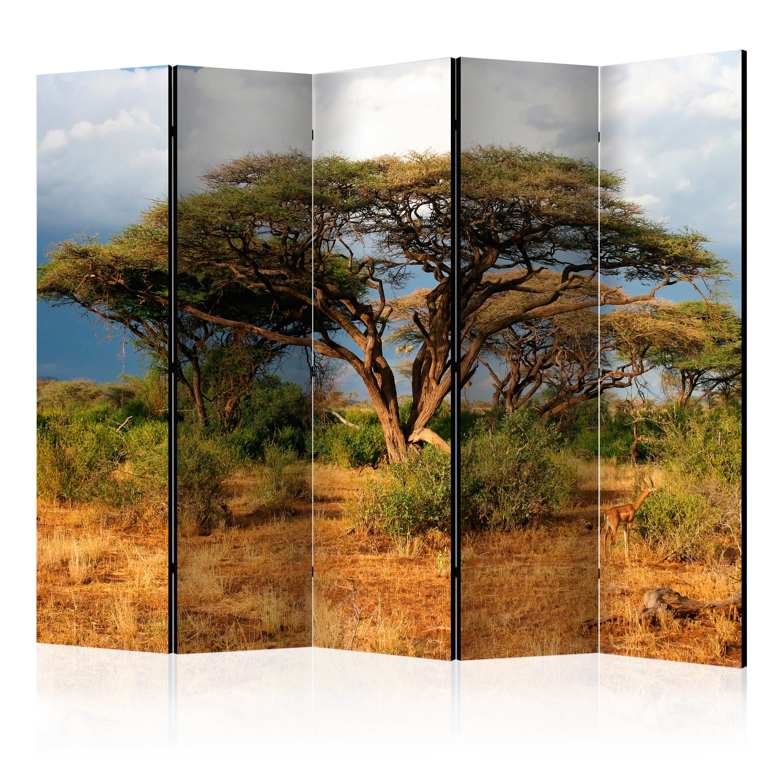 Rumsavdelare Arkiio Samburu National Reserve Kenya II 225x172 cm