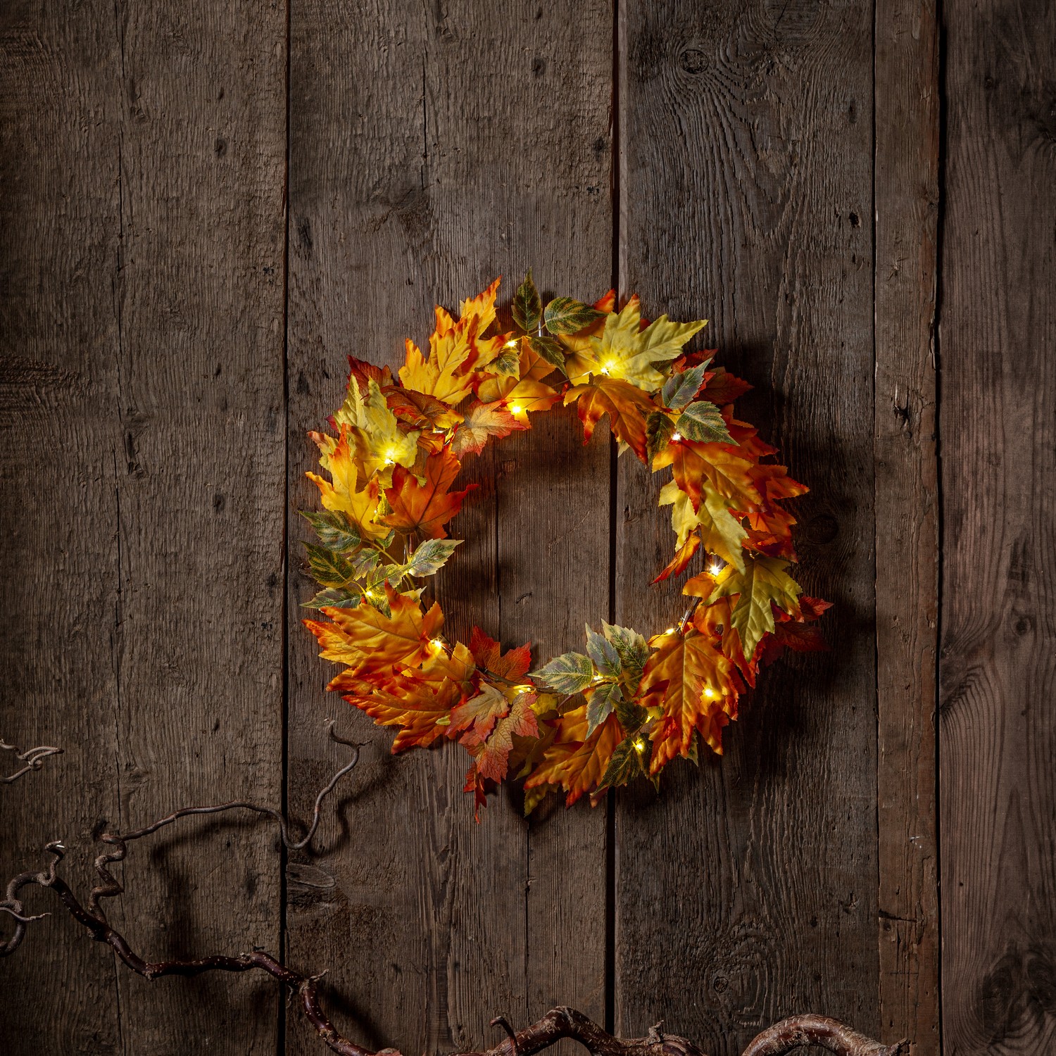 Krans Star Trading Autumn