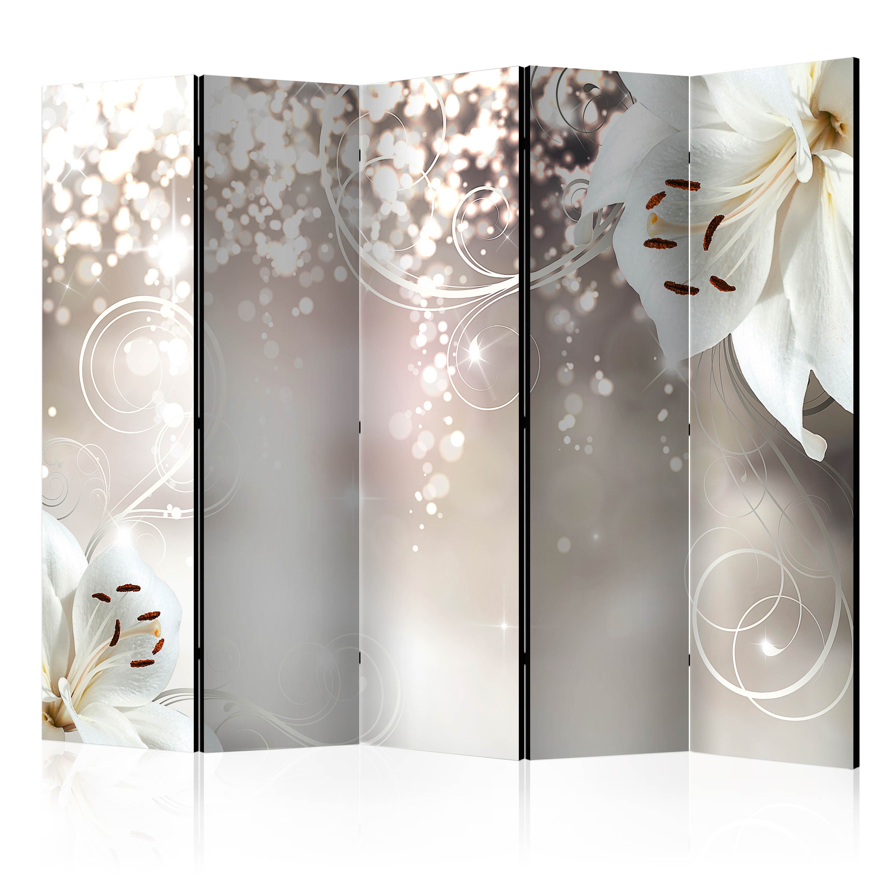 Rumsavdelare Arkiio Magic Composition II 225x172 cm