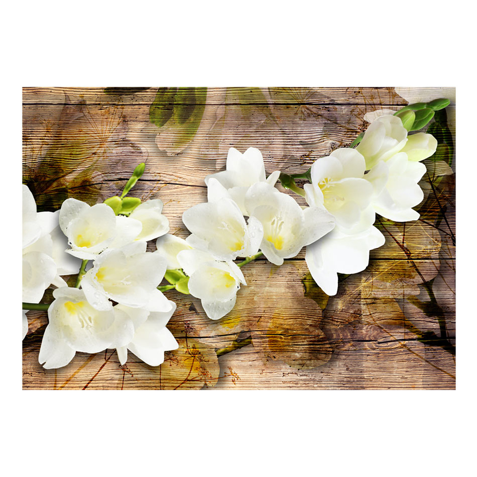 Fototapet Arkiio Freesia On Wood