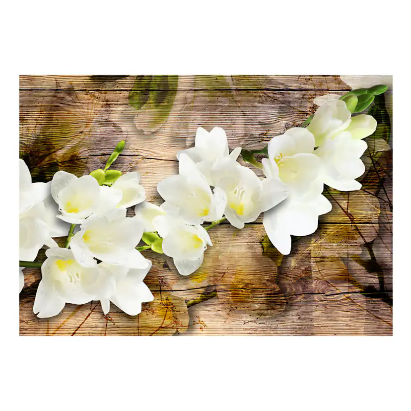 Fototapet Arkiio Freesia On Wood