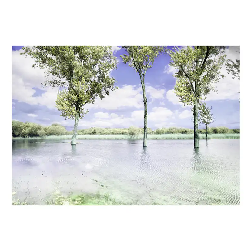 Fototapet Arkiio Spring Scenery