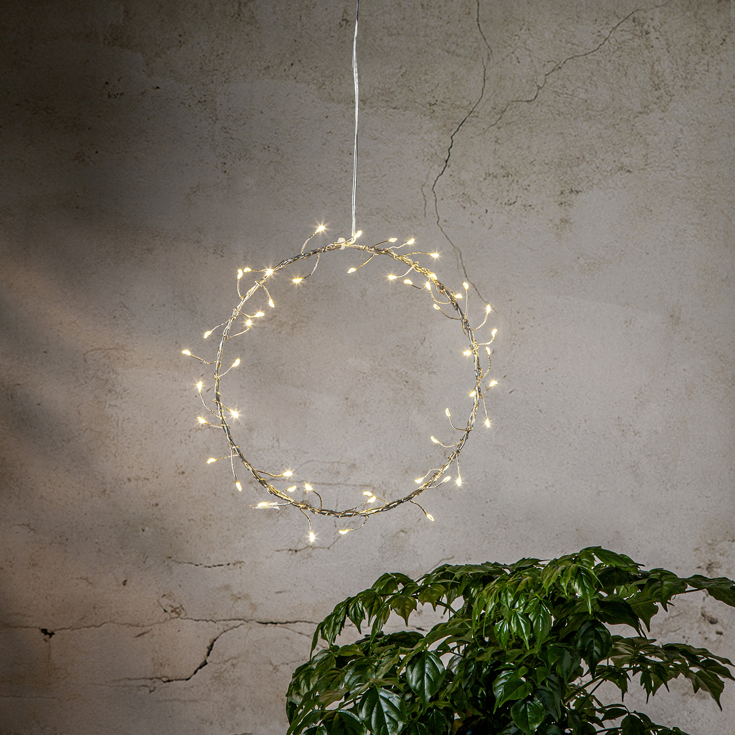 Hängande Dekoration Star Trading Poppy