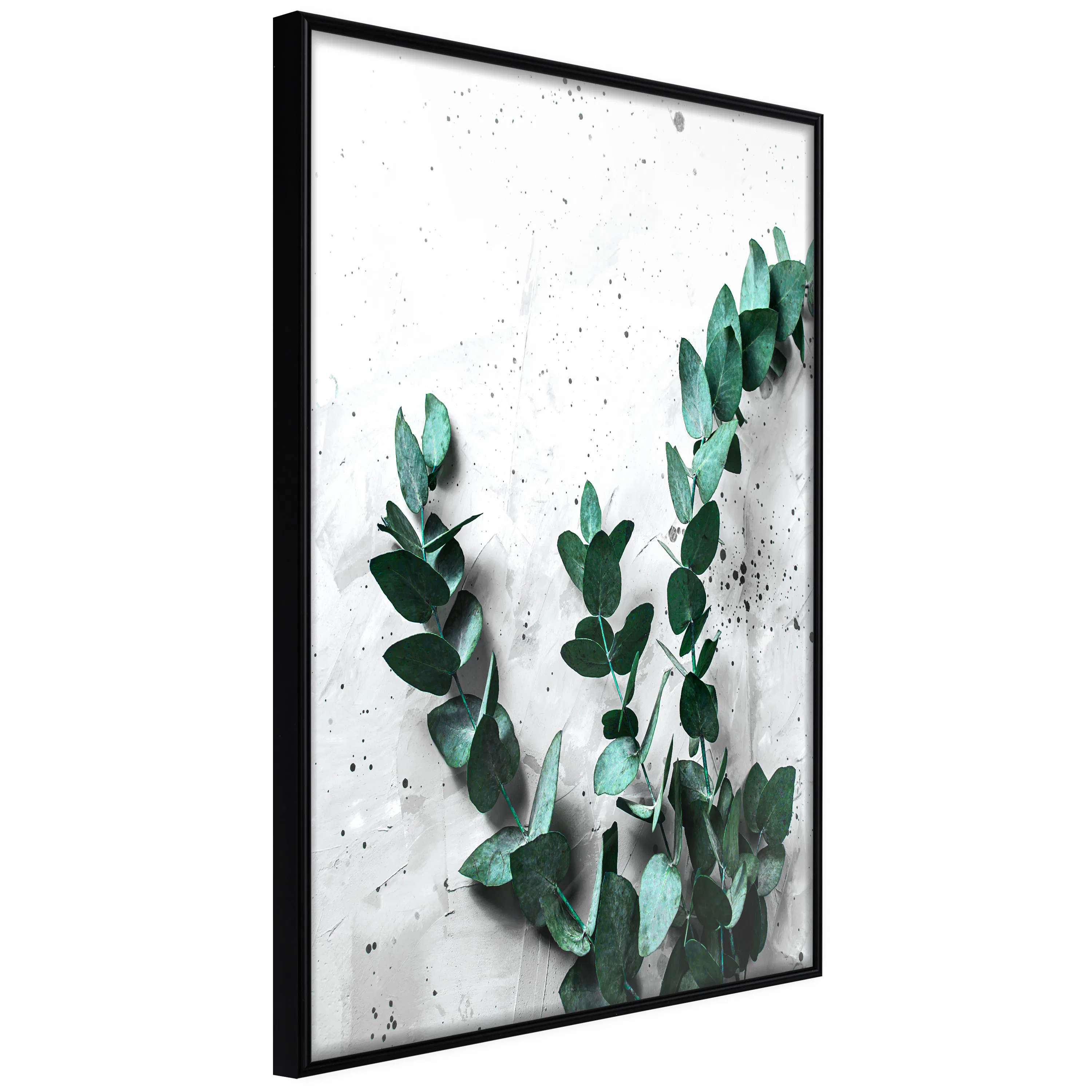 Poster Artgeist Affisch Eucalyptus Scent