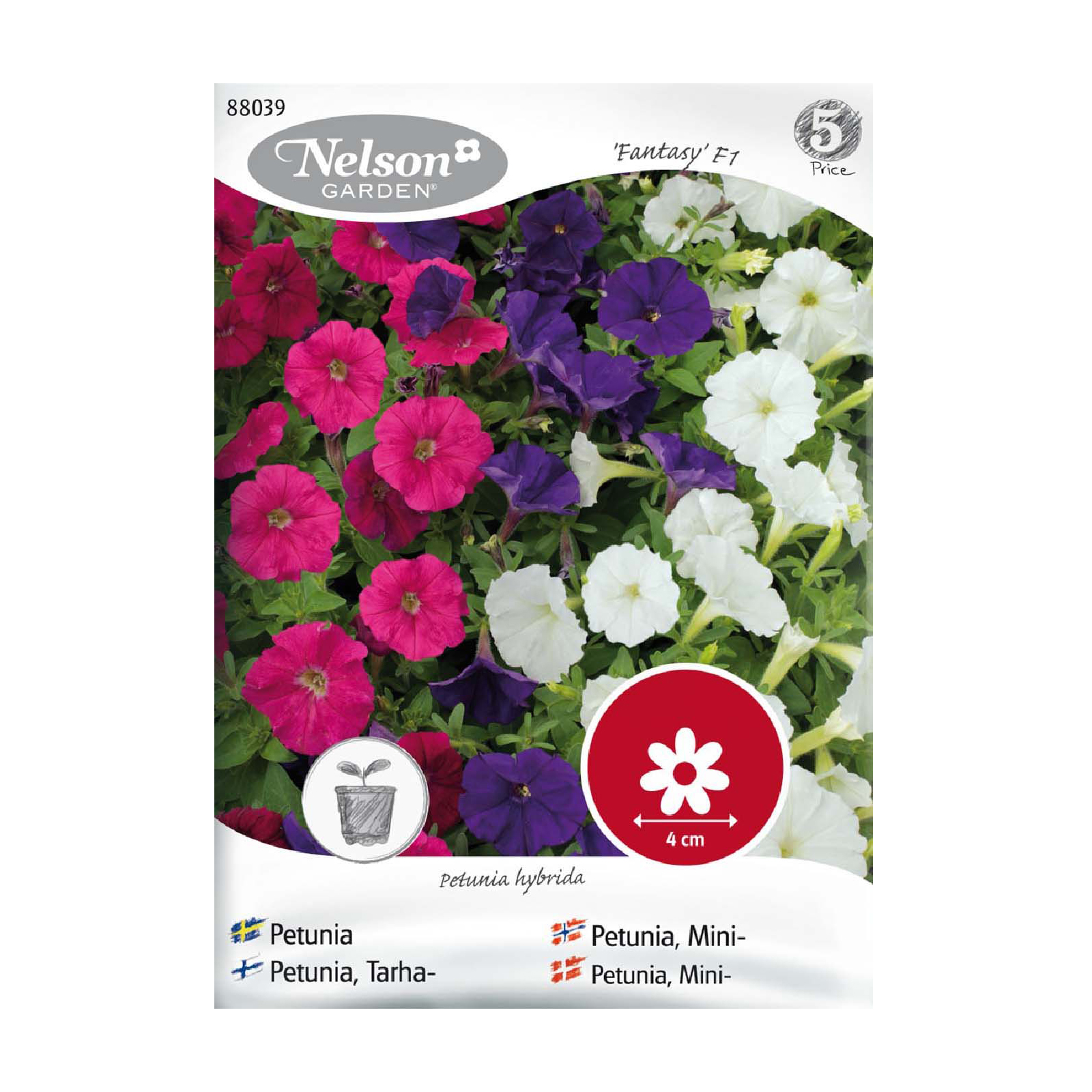 Frö Petunia Nelson Garden Picobella F1 Mini Mix