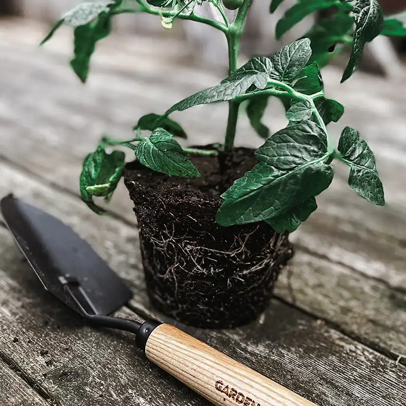 Planteringsspade by Benson