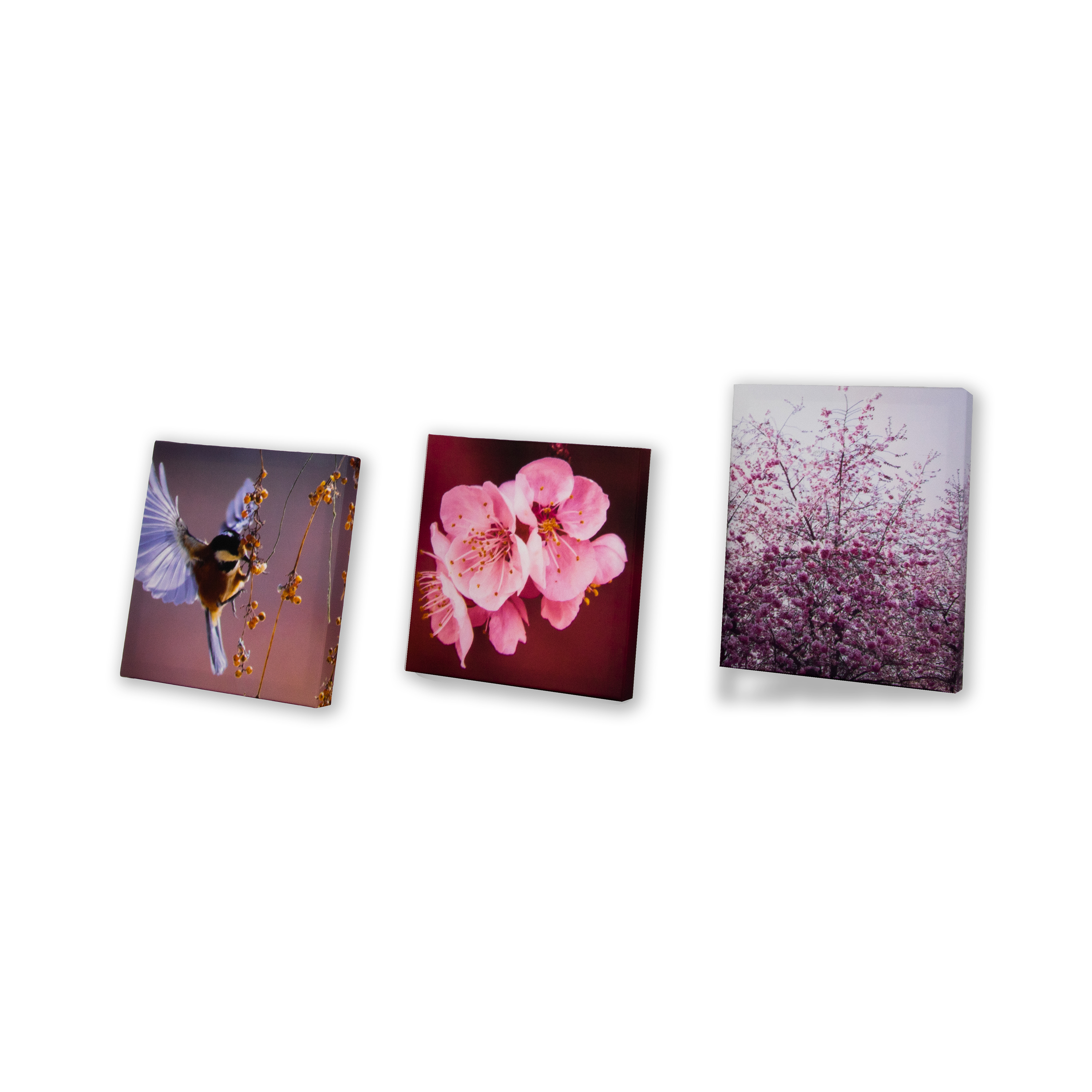 Canvastavla Art For The Home Set av 5 Soft Temptation Ett hav av Blommor 80x60cm