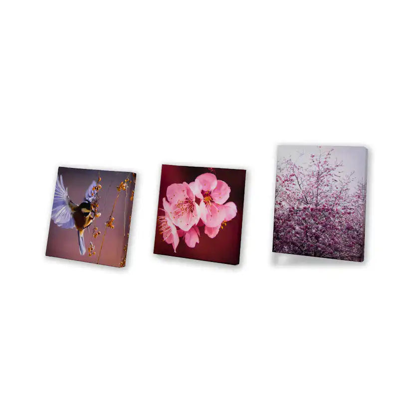 Canvastavla Art For The Home Set av 5 Soft Temptation Ett hav av Blommor 80x60cm