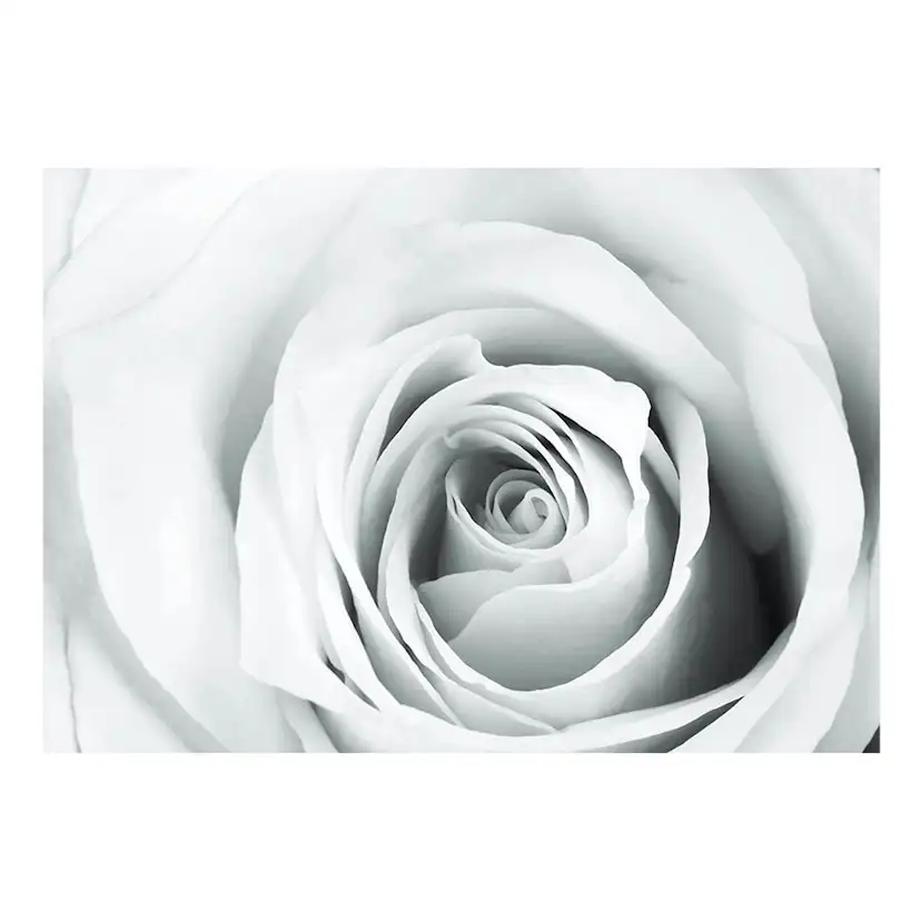Fototapet Arkiio Rose Charade