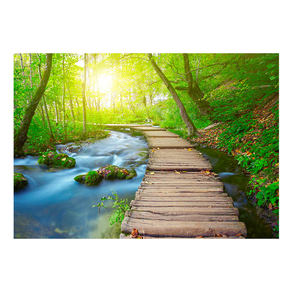 Fototapet Arkiio Green Forest