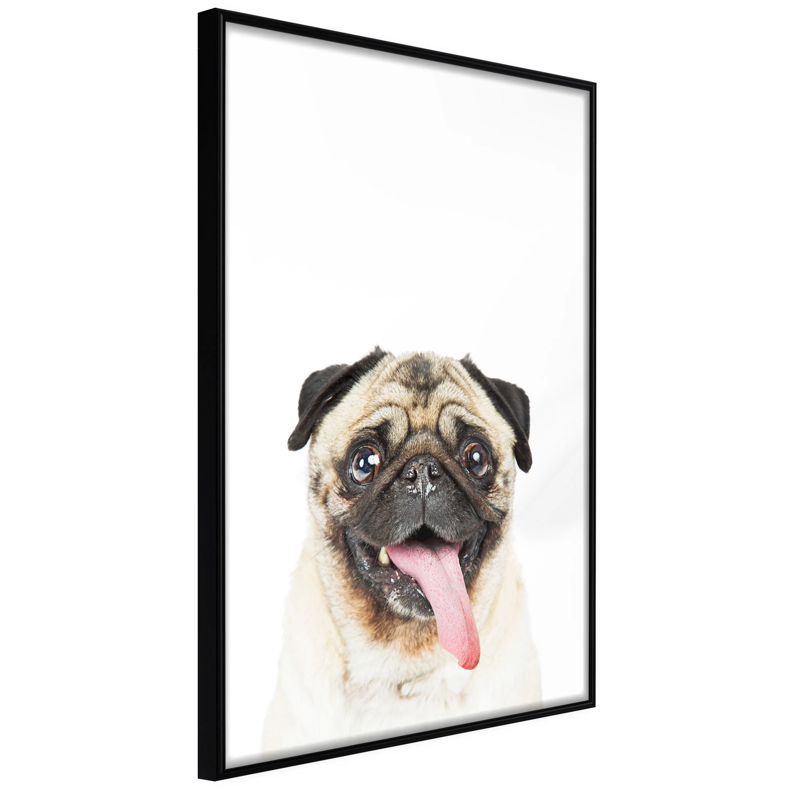 Poster Artgeist Affisch Pug