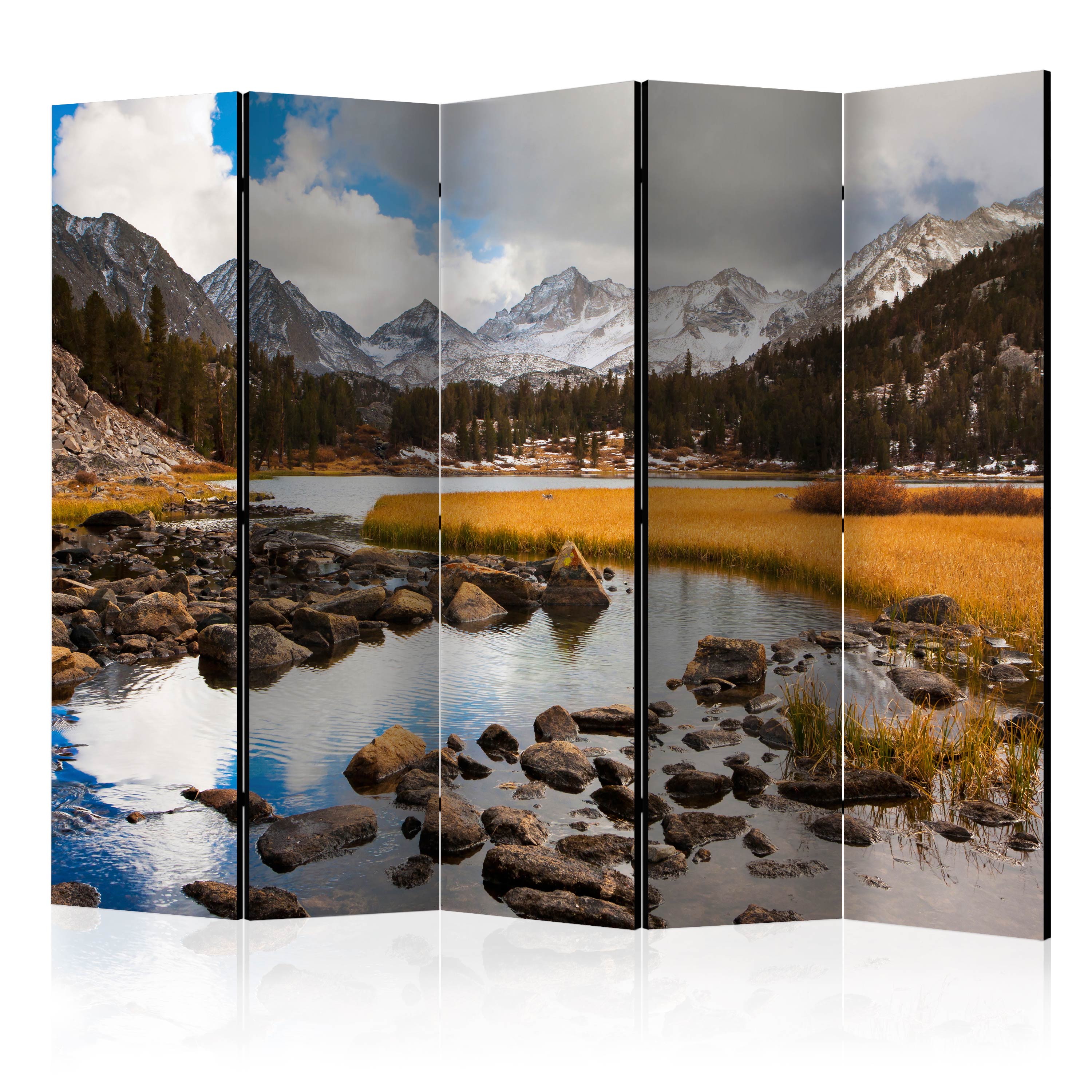 Rumsavdelare Arkiio Mountain Stream II 225x172 cm